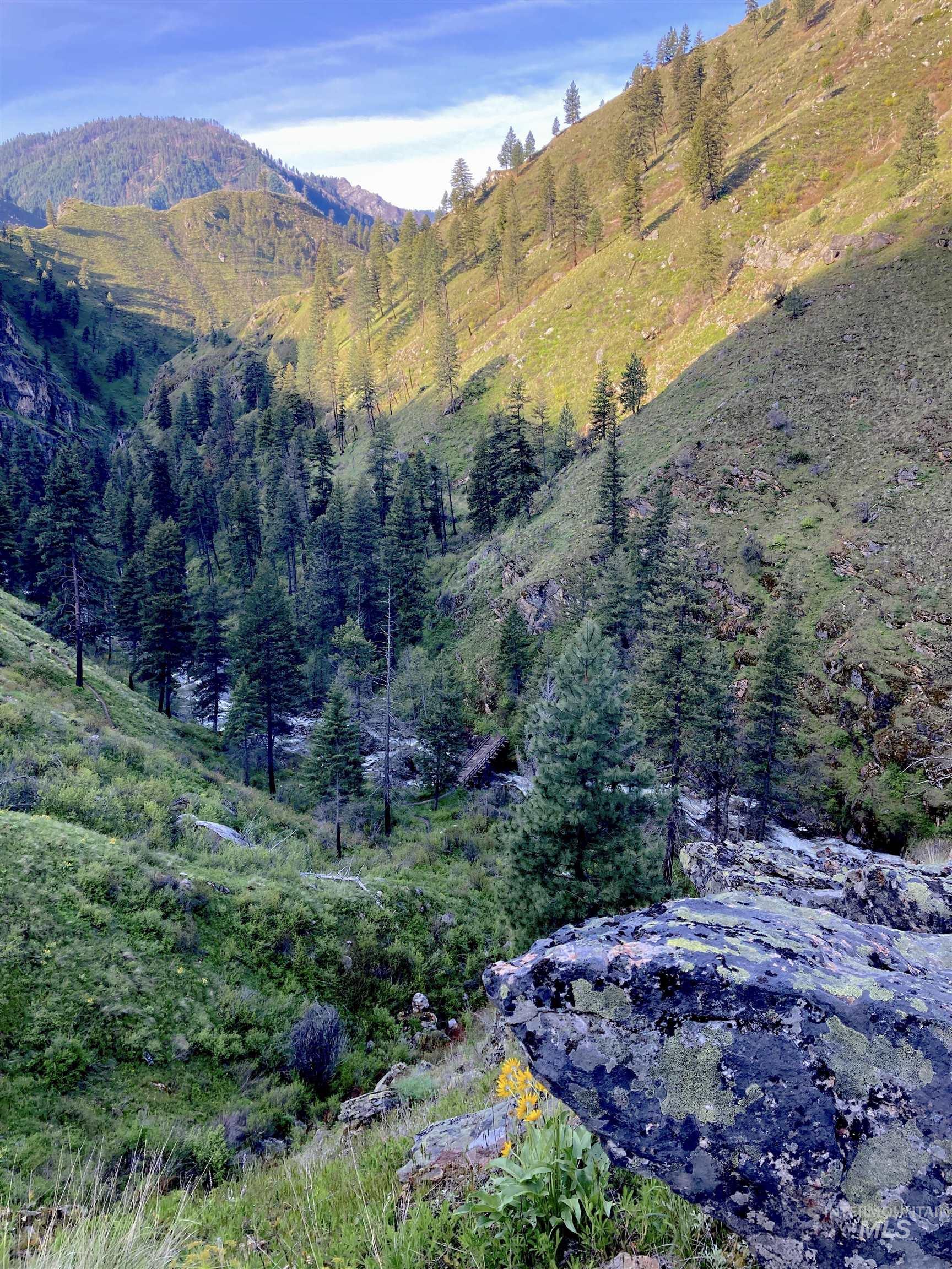 3869 Big Salmon River Rd, Riggins, Idaho 83549, 1 Bedroom, Farm & Ranch For Sale, Price $975,000,MLS 98978722