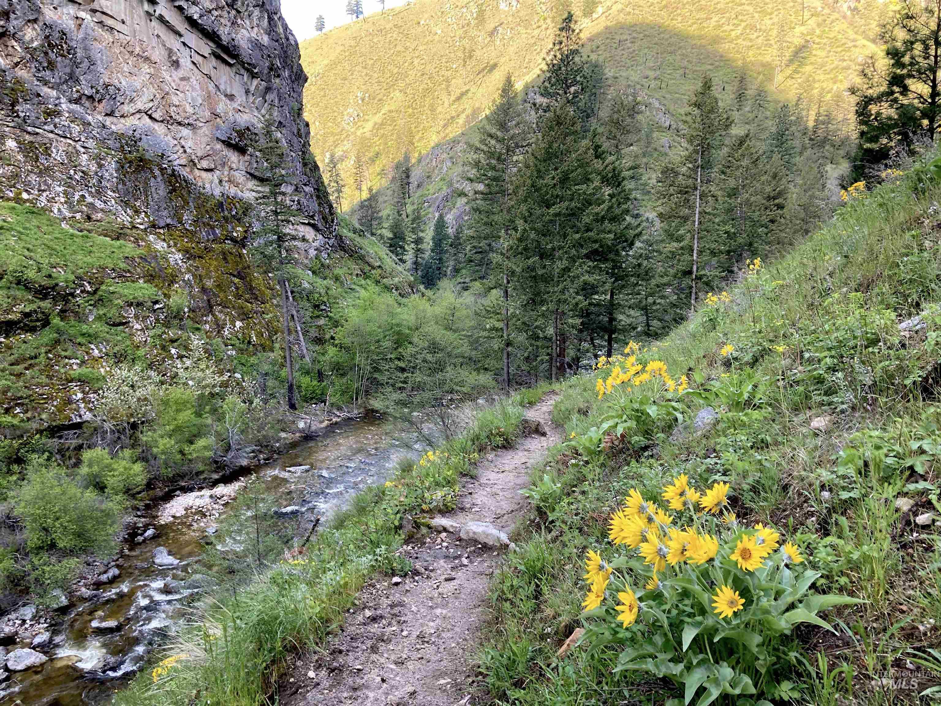 3869 Big Salmon River Rd, Riggins, Idaho 83549, 1 Bedroom, Farm & Ranch For Sale, Price $975,000,MLS 98978722