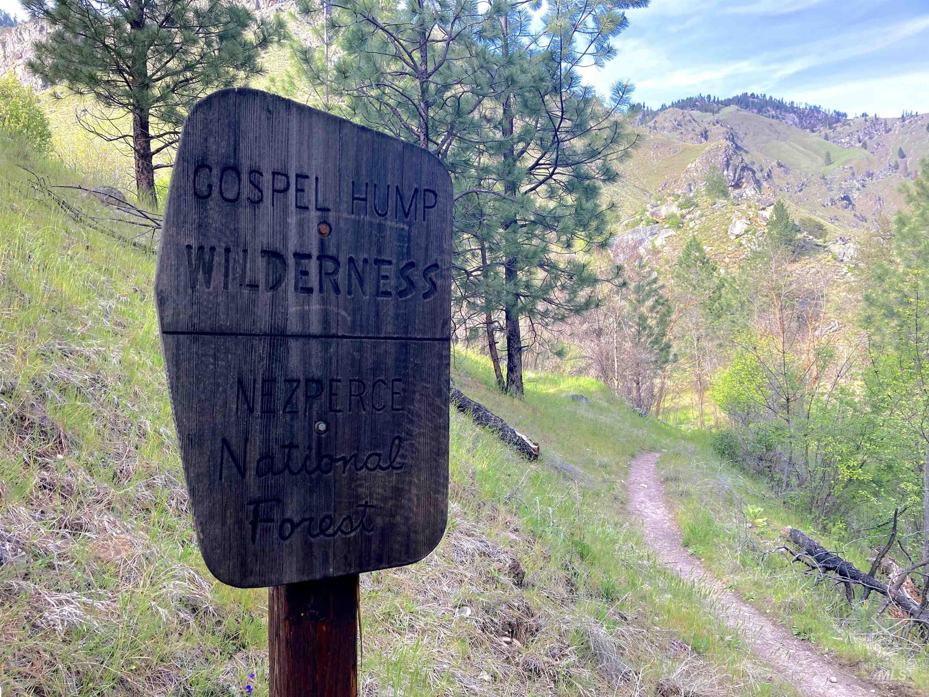 3869 Big Salmon River Rd, Riggins, Idaho 83549, 1 Bedroom, Farm & Ranch For Sale, Price $975,000,MLS 98978722