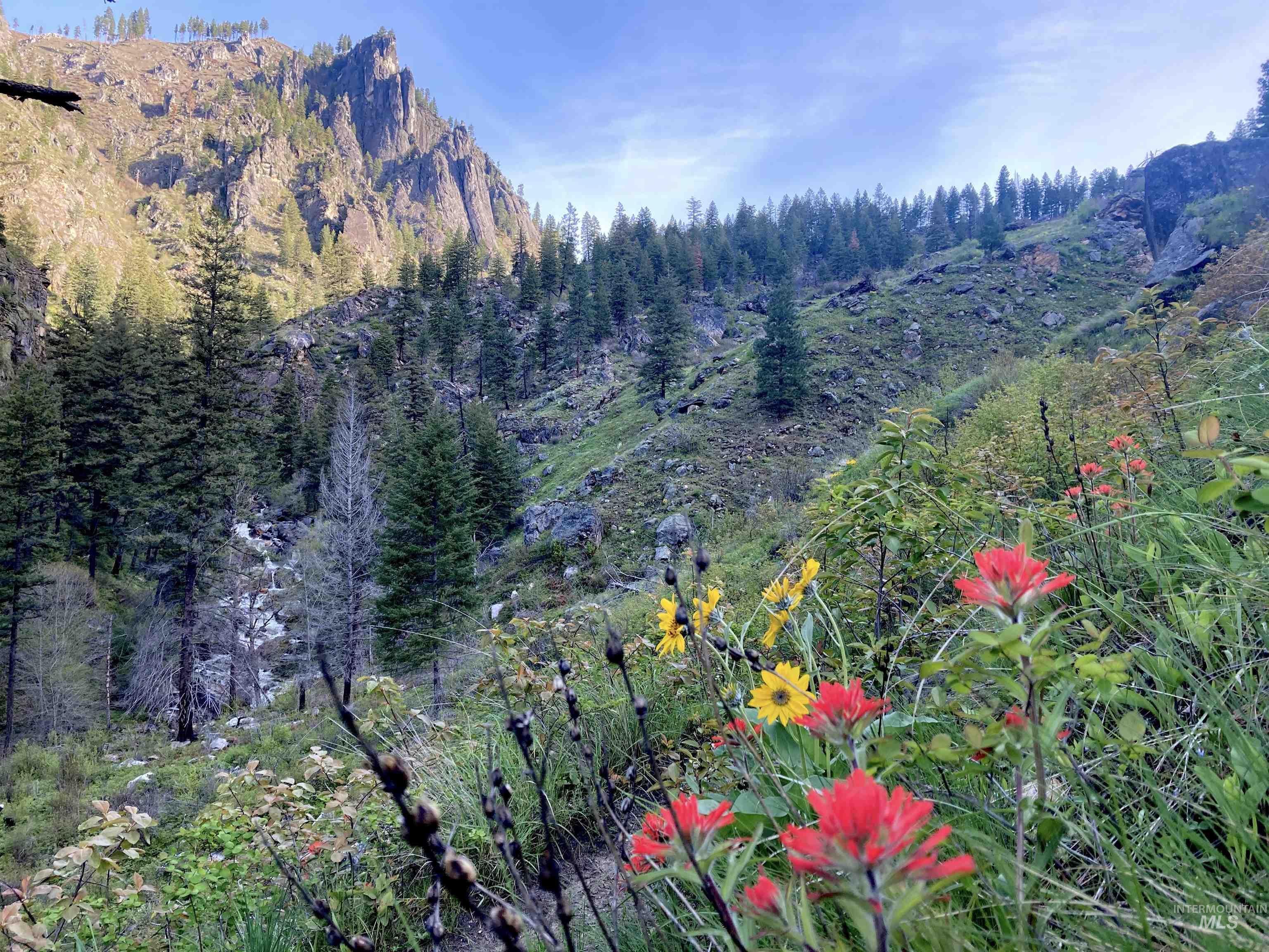 3869 Big Salmon River Rd, Riggins, Idaho 83549, 1 Bedroom, Farm & Ranch For Sale, Price $975,000,MLS 98978722