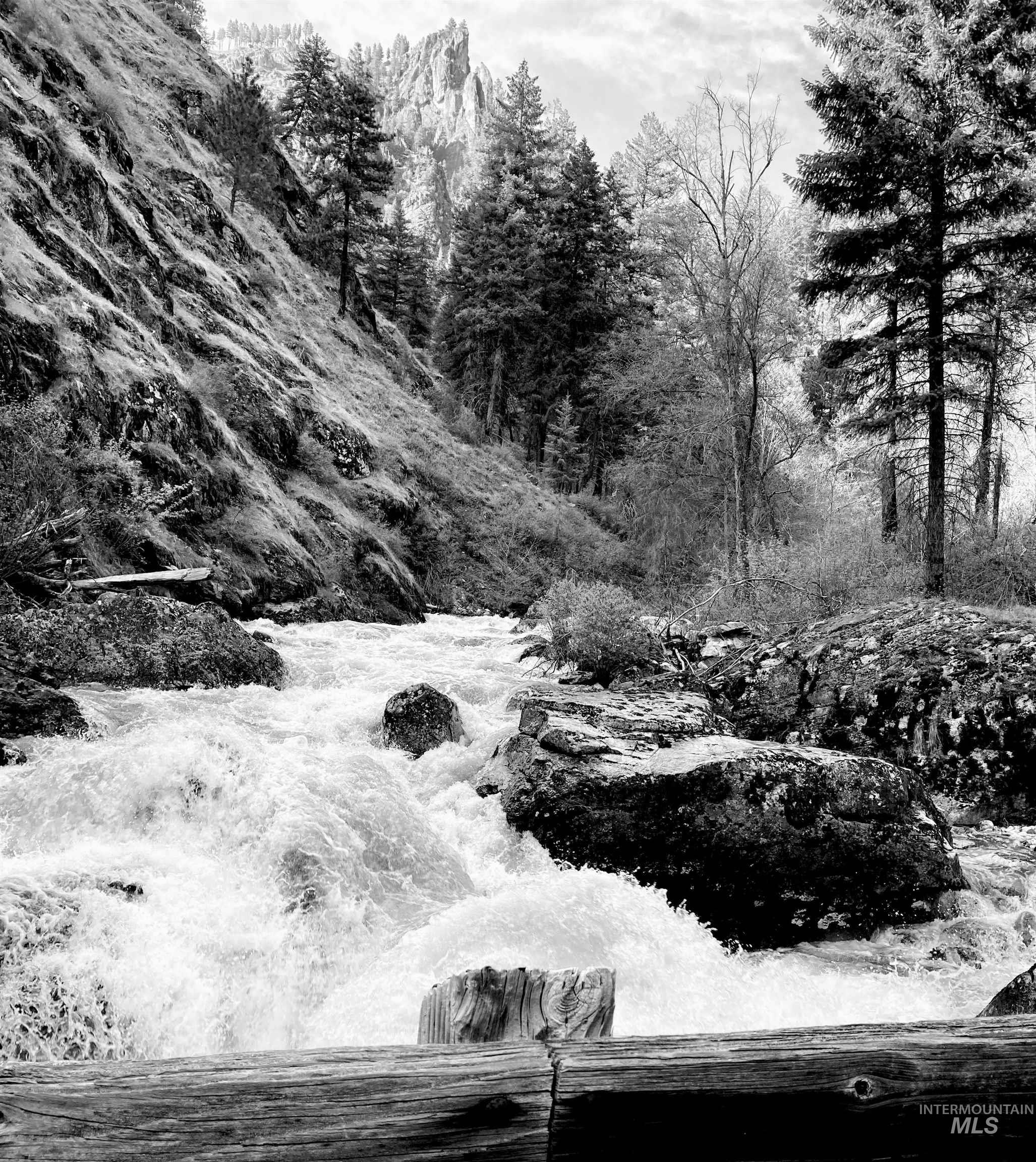 3869 Big Salmon River Rd, Riggins, Idaho 83549, 1 Bedroom, Farm & Ranch For Sale, Price $975,000,MLS 98978722