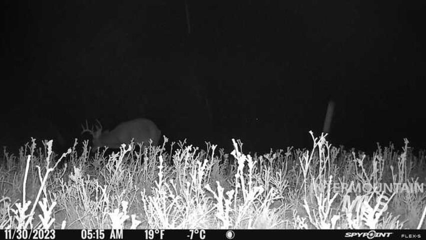 39430 Hide Away Lane, Lewiston, Idaho 83501, Land For Sale, Price $239,700,MLS 98978729