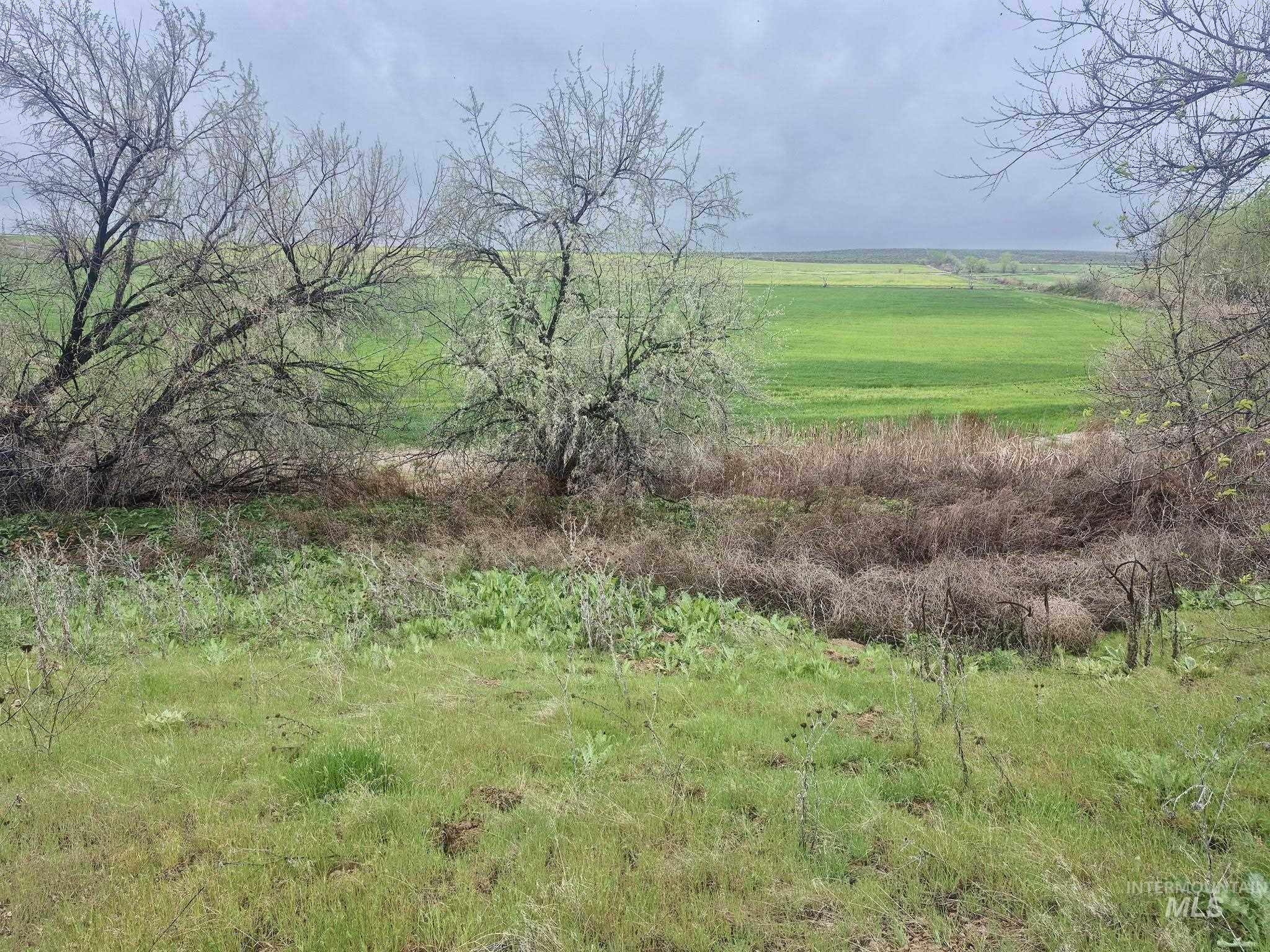TBD Echo parcel 1, Ontario, Oregon 97914, Land For Sale, Price $119,900,MLS 98978730