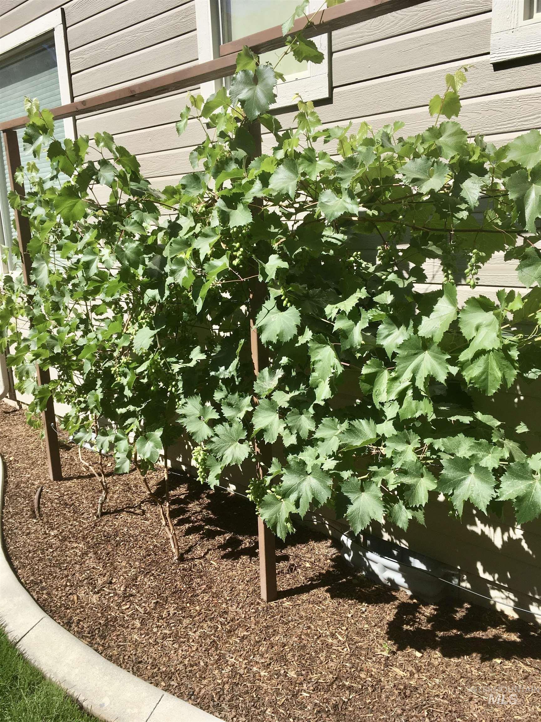 920 W Bacall St., Meridian, Idaho 83646, 5 Bedrooms, 3.5 Bathrooms, Residential For Sale, Price $824,900, 98978747