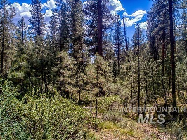 TBD Cedar Ct, Idaho City, Idaho 83631, Land For Sale, Price $225,000,MLS 98978761