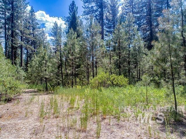 TBD Cedar Ct, Idaho City, Idaho 83631, Land For Sale, Price $225,000,MLS 98978761