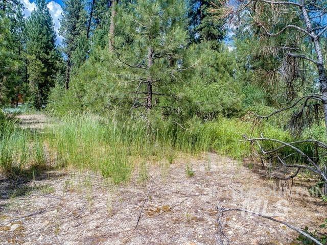 TBD Cedar Ct, Idaho City, Idaho 83631, Land For Sale, Price $225,000,MLS 98978761