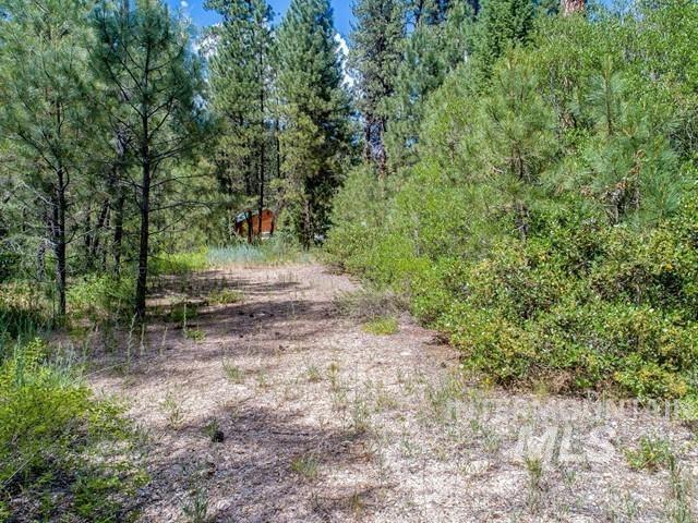TBD Cedar Ct, Idaho City, Idaho 83631, Land For Sale, Price $225,000,MLS 98978761