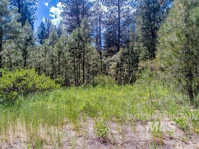 TBD Cedar Ct, Idaho City, Idaho 83631, Land For Sale, Price $225,000,MLS 98978761