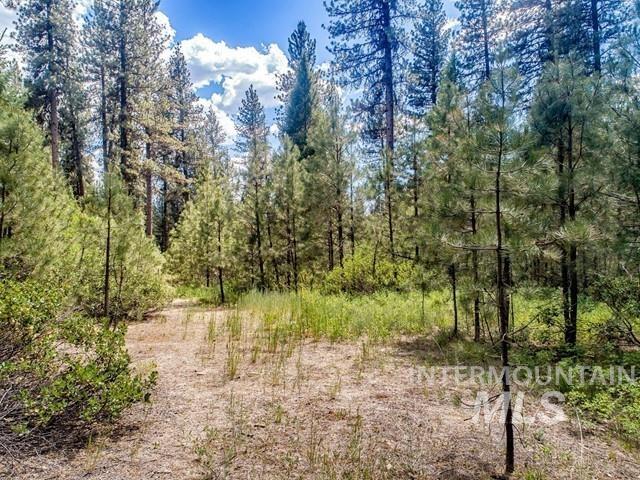 TBD Cedar Ct, Idaho City, Idaho 83631, Land For Sale, Price $225,000,MLS 98978761