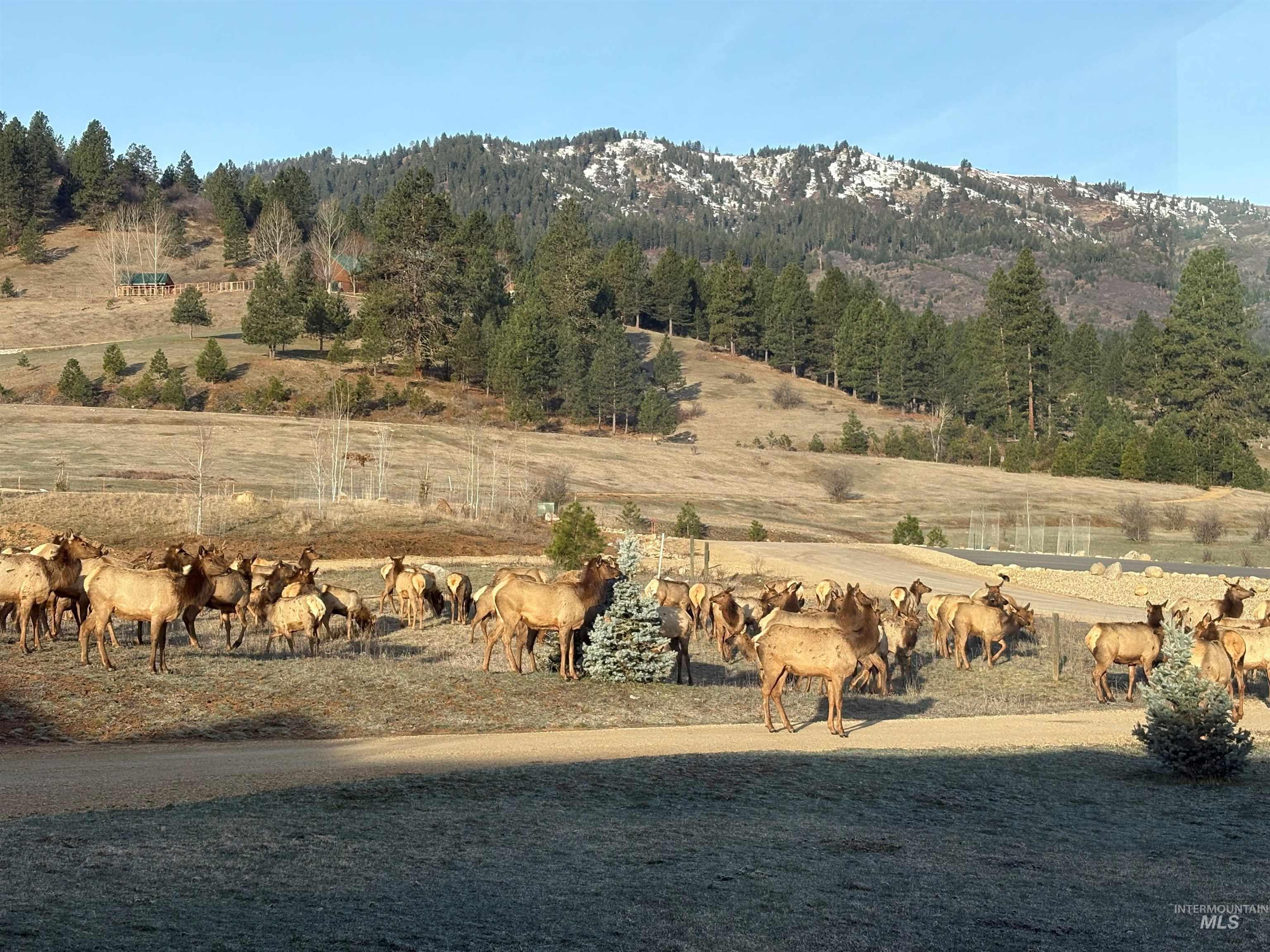 14 Bobcat Court, Garden Valley, Idaho 83622, 4 Bedrooms, 2 Bathrooms, Residential For Sale, Price $965,000, 98978773