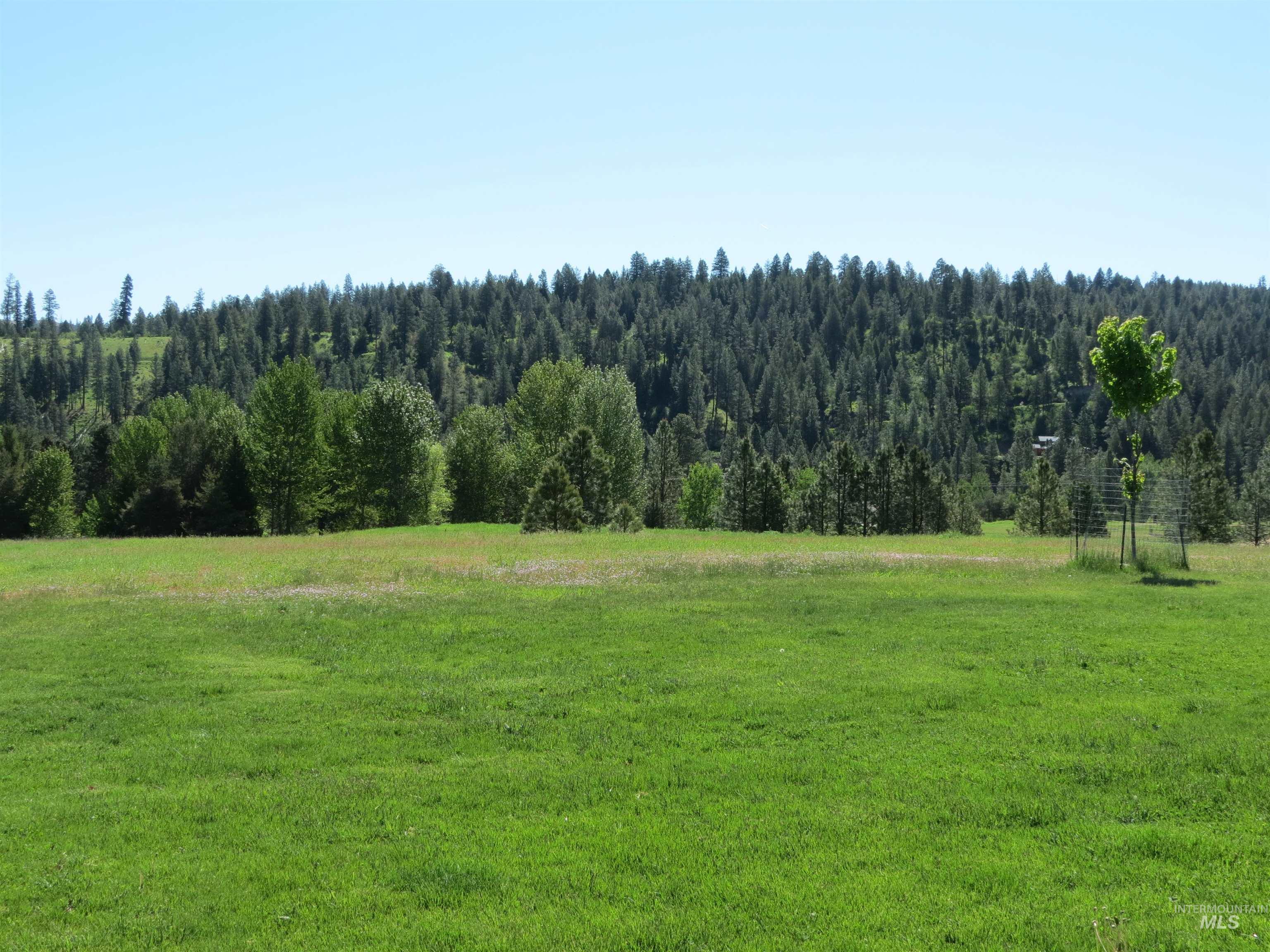 14 Bobcat Court, Garden Valley, Idaho 83622, 4 Bedrooms, 2 Bathrooms, Residential For Sale, Price $925,000, 98978773