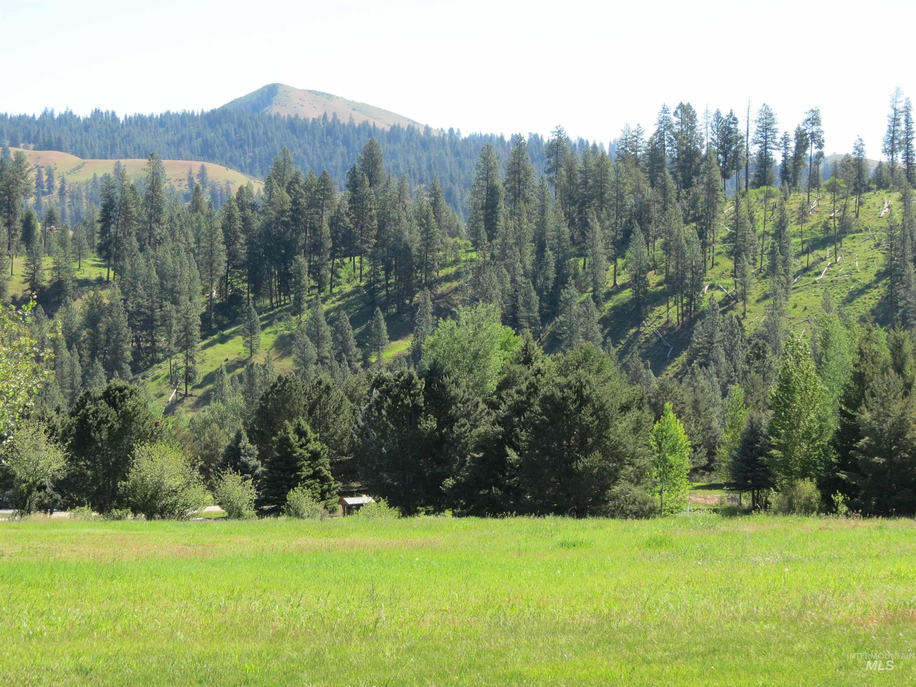 14 Bobcat Court, Garden Valley, Idaho 83622, 4 Bedrooms, 2 Bathrooms, Residential For Sale, Price $925,000, 98978773