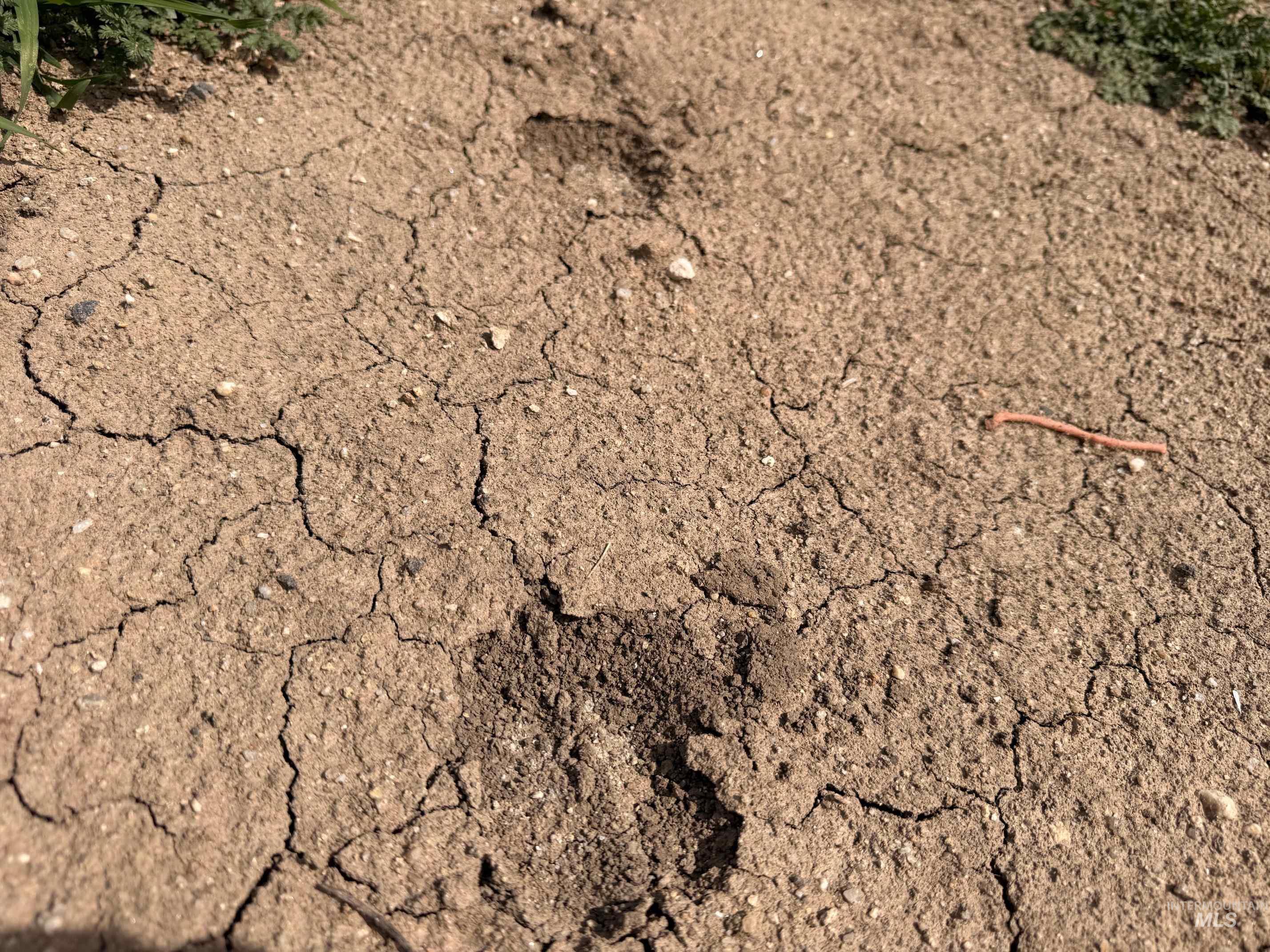 TBD Lot 5 Arabian Lane, Emmett, Idaho 83617, Land For Sale, Price $446,250,MLS 98978782