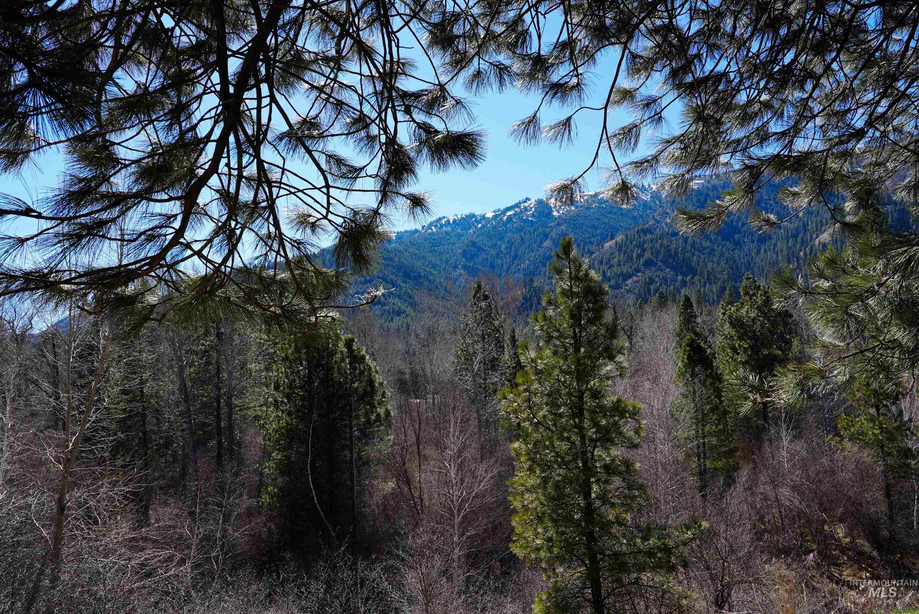 106 Lane A, Garden Valley, Idaho 83622, 3 Bedrooms, 2 Bathrooms, Residential For Sale, Price $699,000,MLS 98978794