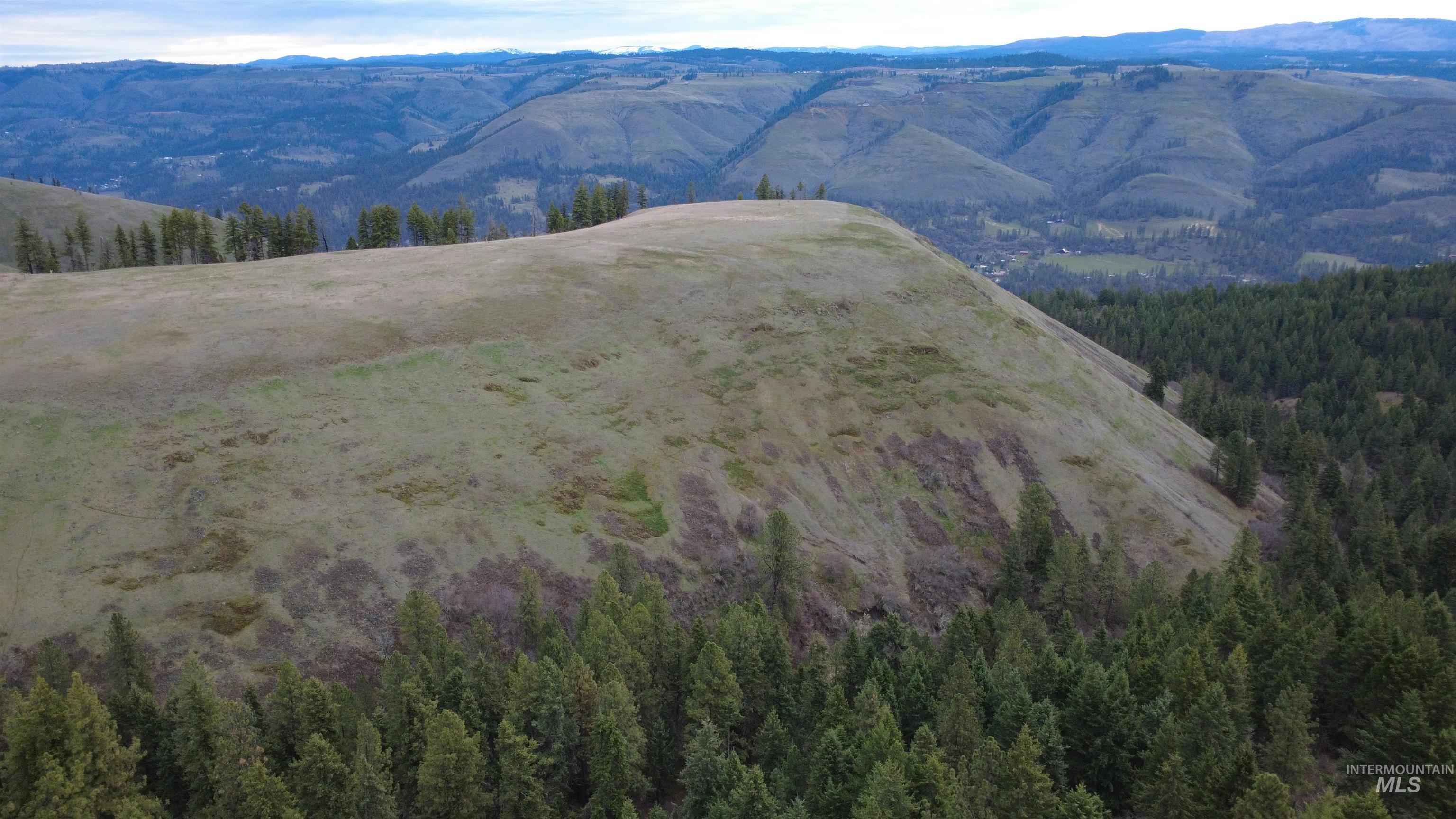 155 Mule Deer Drive, Kamiah, Idaho 83536, 1 Bedroom, 1 Bathroom, Residential For Sale, Price $430,000, 98978816