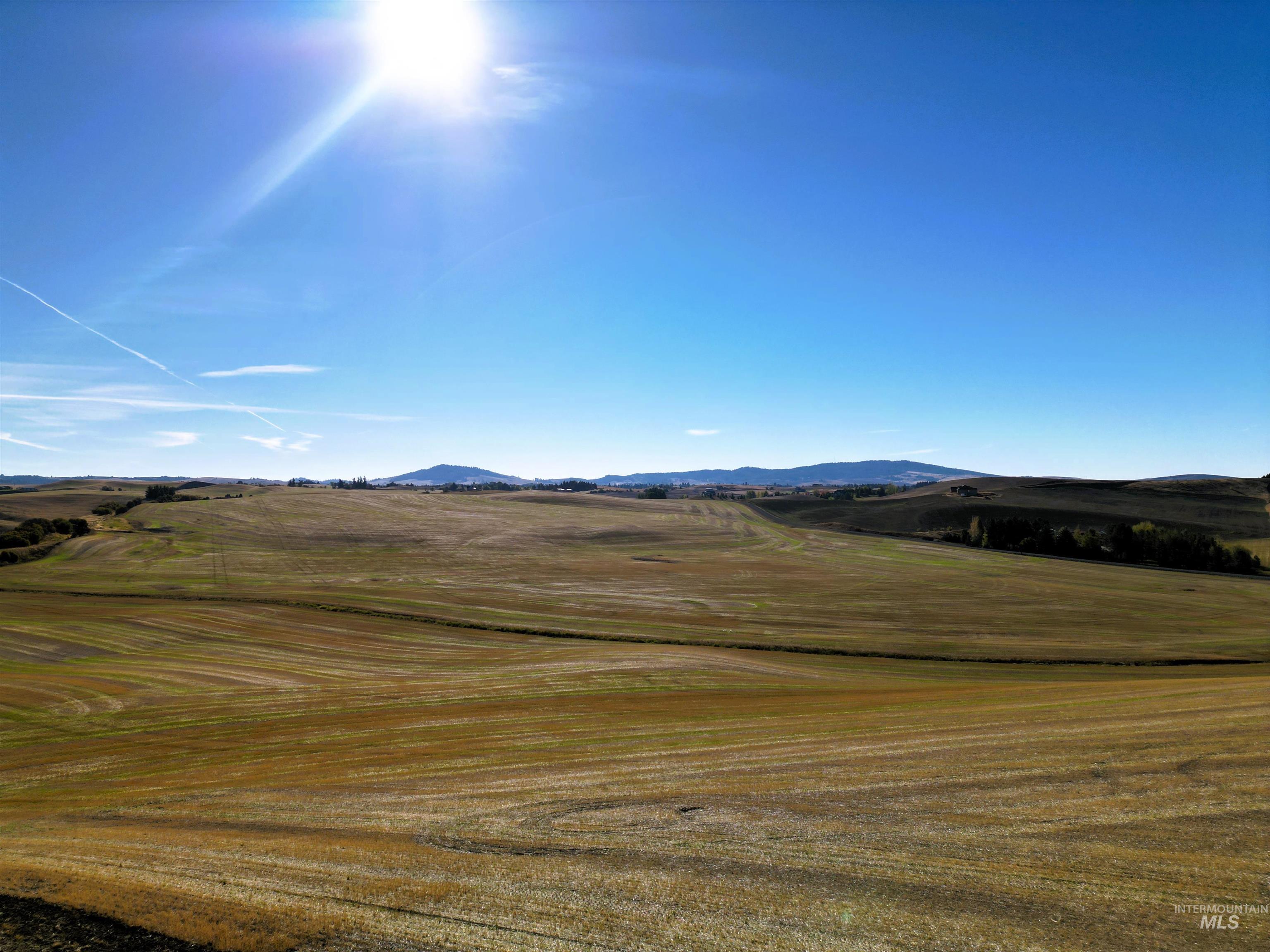 TBD John Ruby Rd, Parcel 1, Moscow, Idaho 83843, Land For Sale, Price $235,000,MLS 98978852