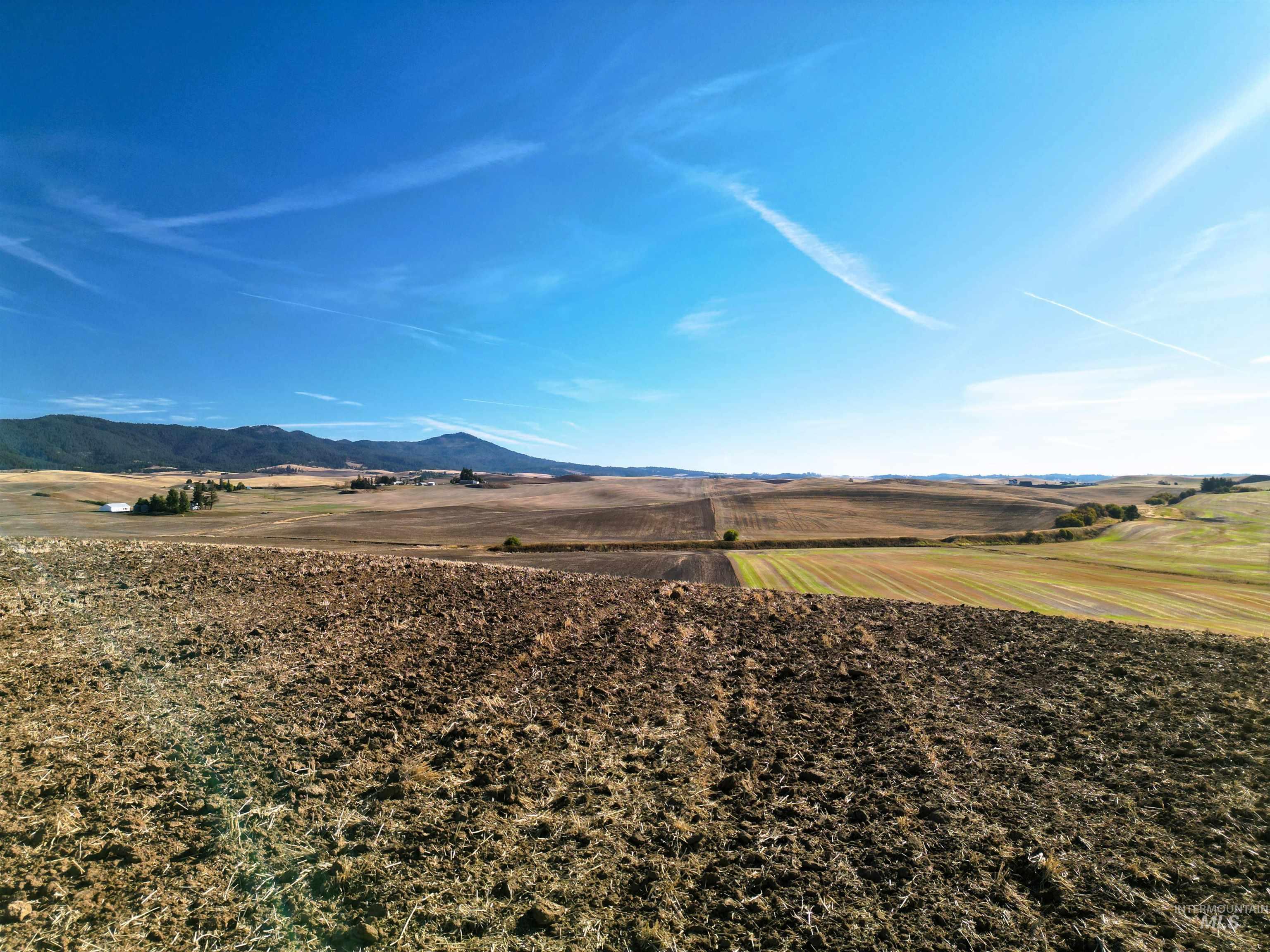TBD John Ruby Rd, Parcel 1, Moscow, Idaho 83843, Land For Sale, Price $235,000,MLS 98978852