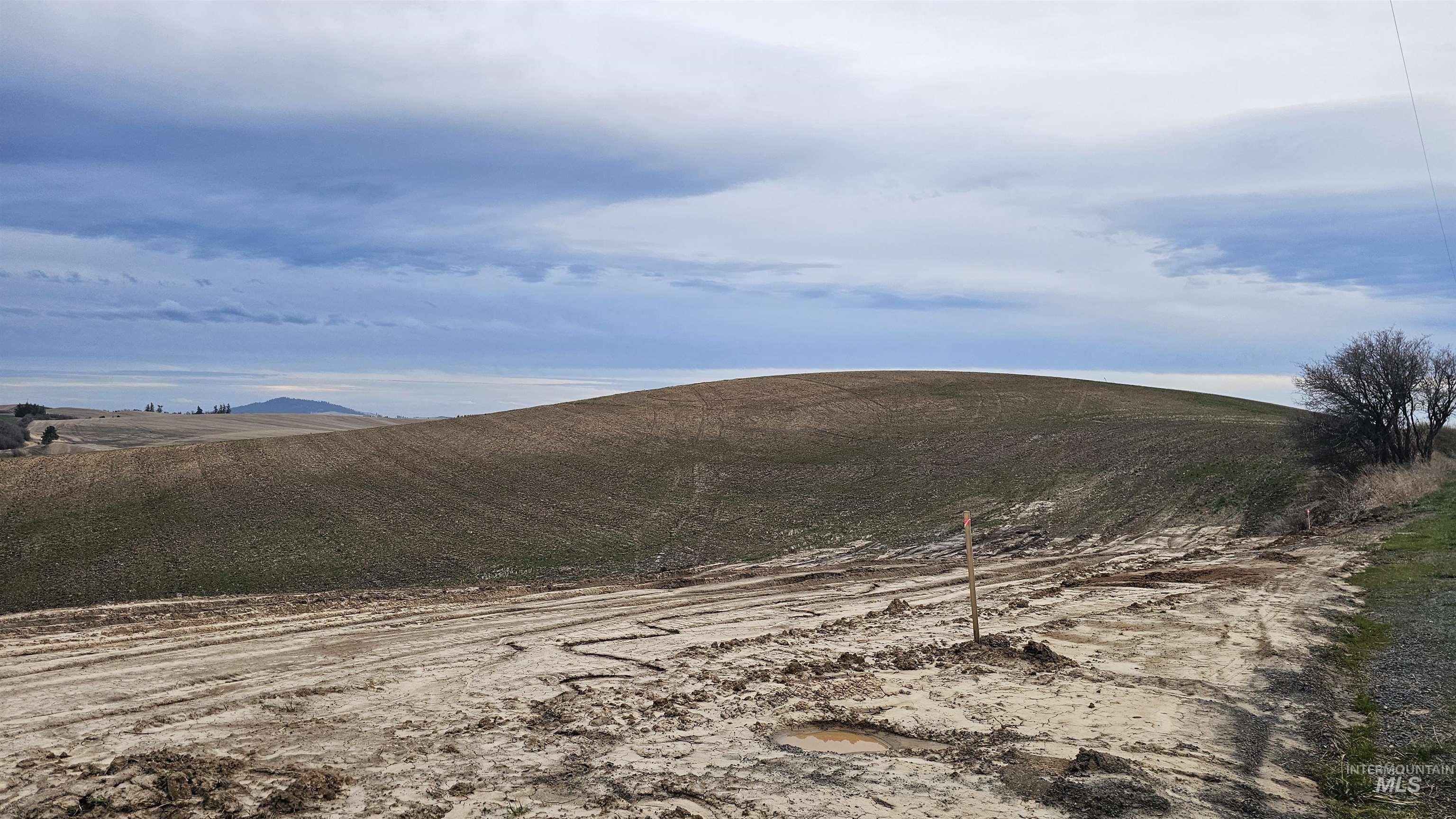 TBD John Ruby Rd, Parcel 1, Moscow, Idaho 83843, Land For Sale, Price $235,000,MLS 98978852