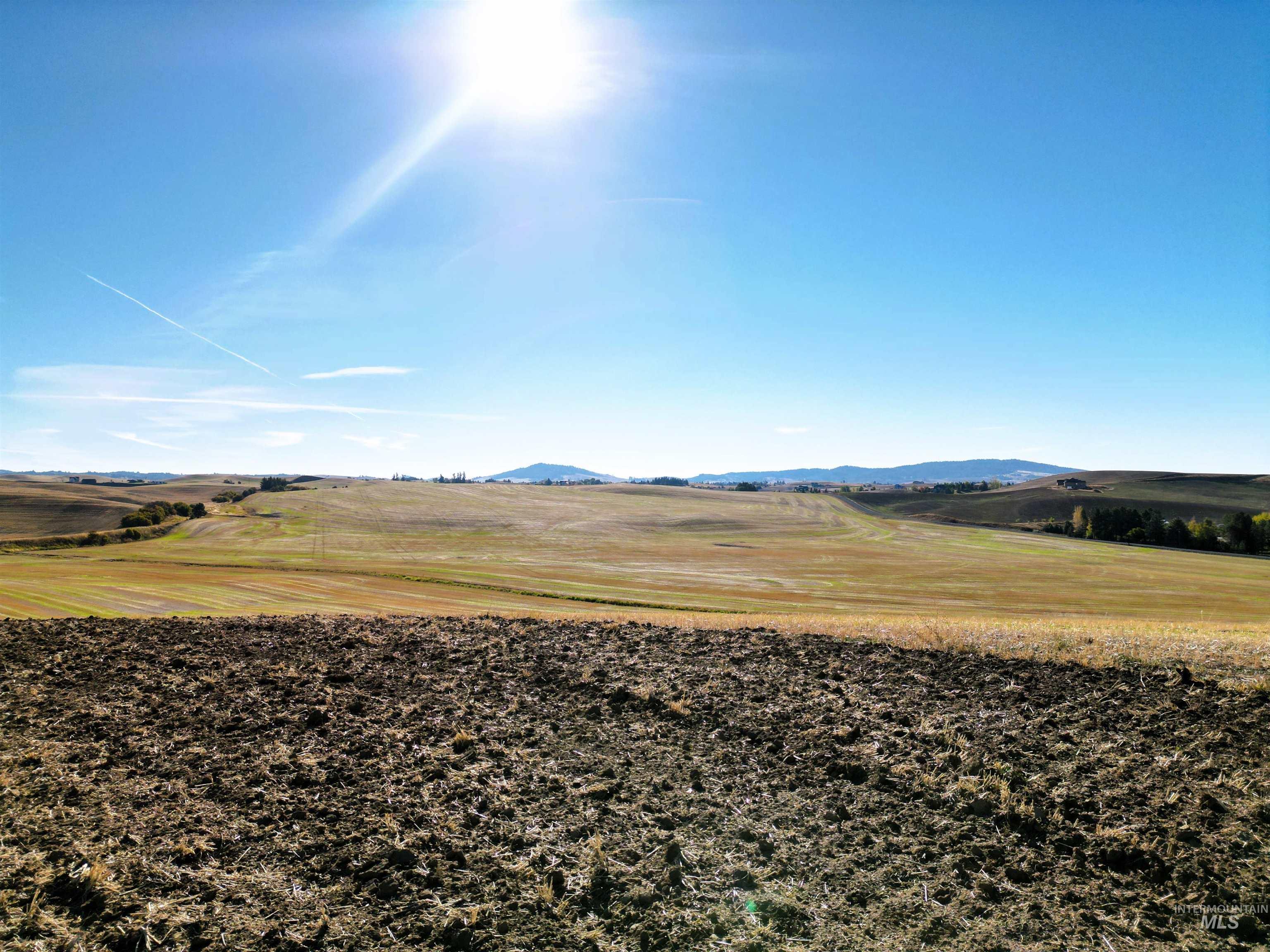 TBD John Ruby Rd, Parcel 1, Moscow, Idaho 83843, Land For Sale, Price $235,000,MLS 98978852