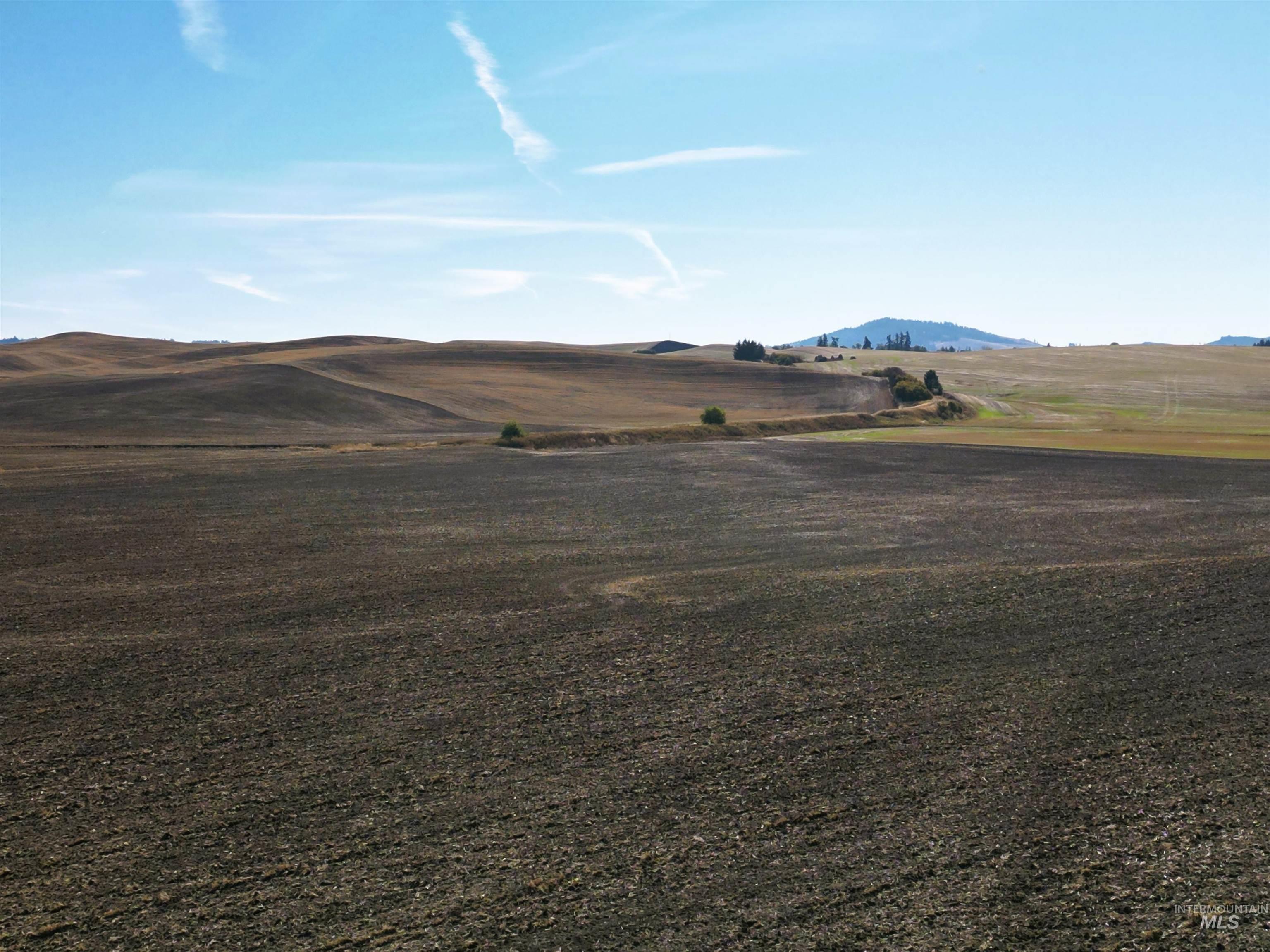 TBD John Ruby Rd, Parcel 3, Moscow, Idaho 83843, Land For Sale, Price $199,000,MLS 98978854