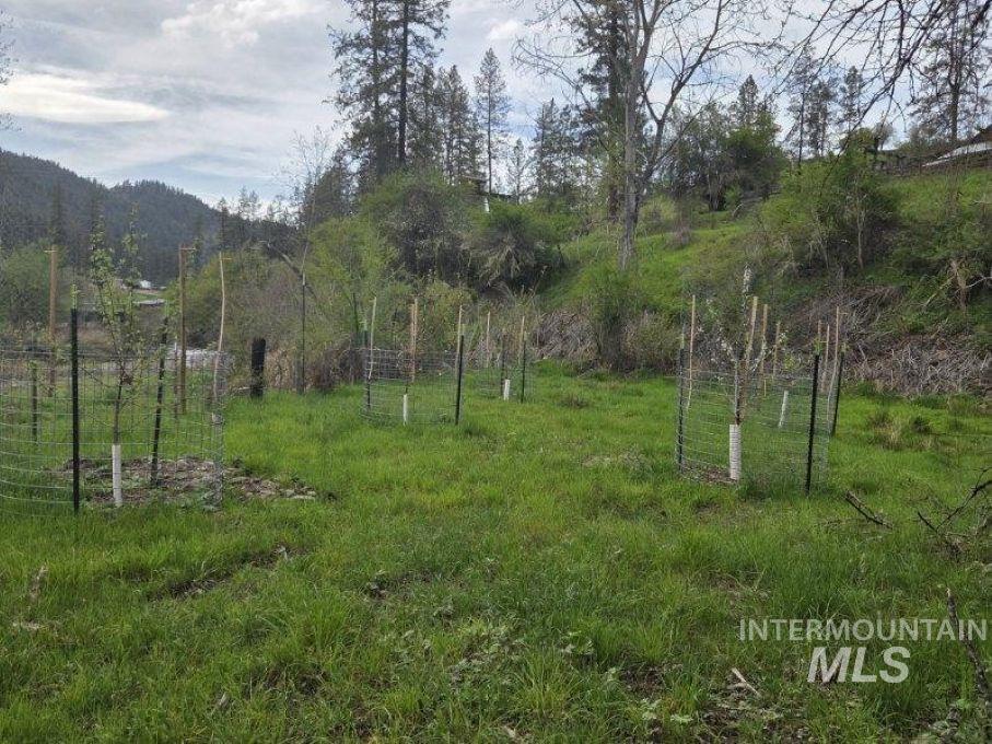 124 Windmill Lane, Kooskia, Idaho 83539, 3 Bedrooms, 2 Bathrooms, Residential For Sale, Price $698,000,MLS 98978865