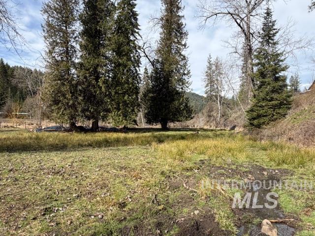 124 Windmill Lane, Kooskia, Idaho 83539, 3 Bedrooms, 2 Bathrooms, Residential For Sale, Price $775,000,MLS 98978865