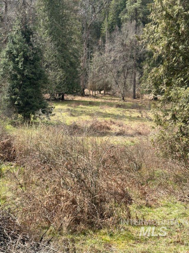 124 Windmill Lane, Kooskia, Idaho 83539, 3 Bedrooms, 2 Bathrooms, Residential For Sale, Price $775,000,MLS 98978865