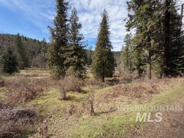 124 Windmill Lane, Kooskia, Idaho 83539, 3 Bedrooms, 2 Bathrooms, Residential For Sale, Price $775,000,MLS 98978865