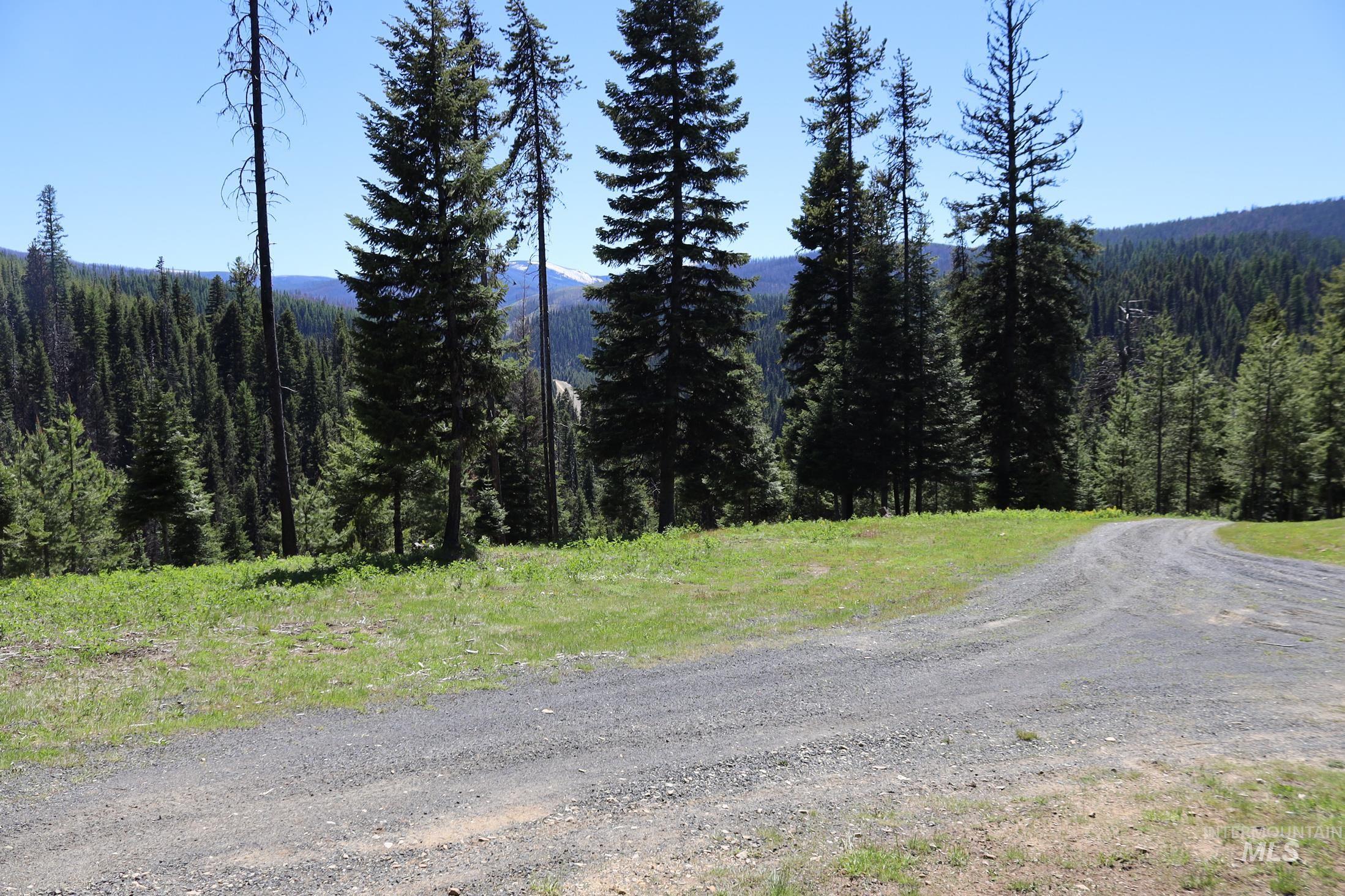 1391 Crooked River Road, Elk City, Idaho 83525, 2 Bedrooms, 2 Bathrooms, Residential For Sale, Price $2,250,000, 98978867