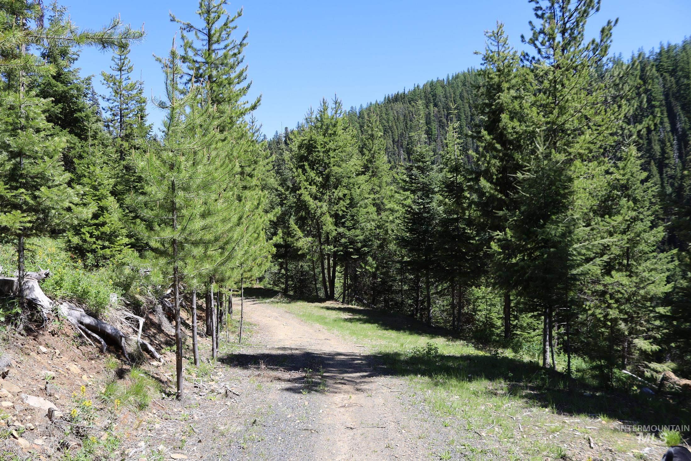 1391 Crooked River Road, Elk City, Idaho 83525, 2 Bedrooms, 2 Bathrooms, Residential For Sale, Price $2,250,000, 98978867