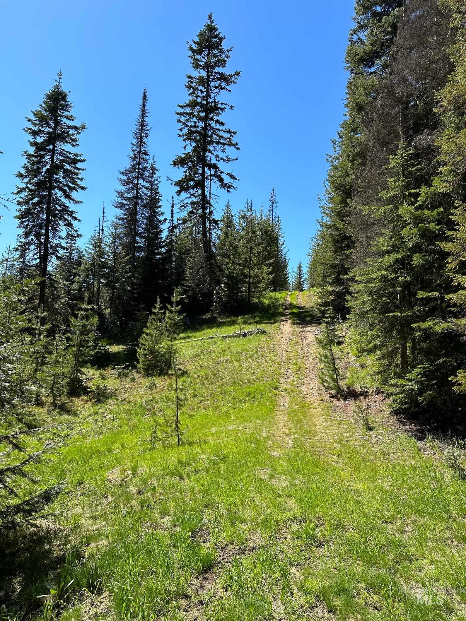 1391 Crooked River Road, Elk City, Idaho 83525, 2 Bedrooms, 2 Bathrooms, Residential For Sale, Price $2,250,000, 98978867