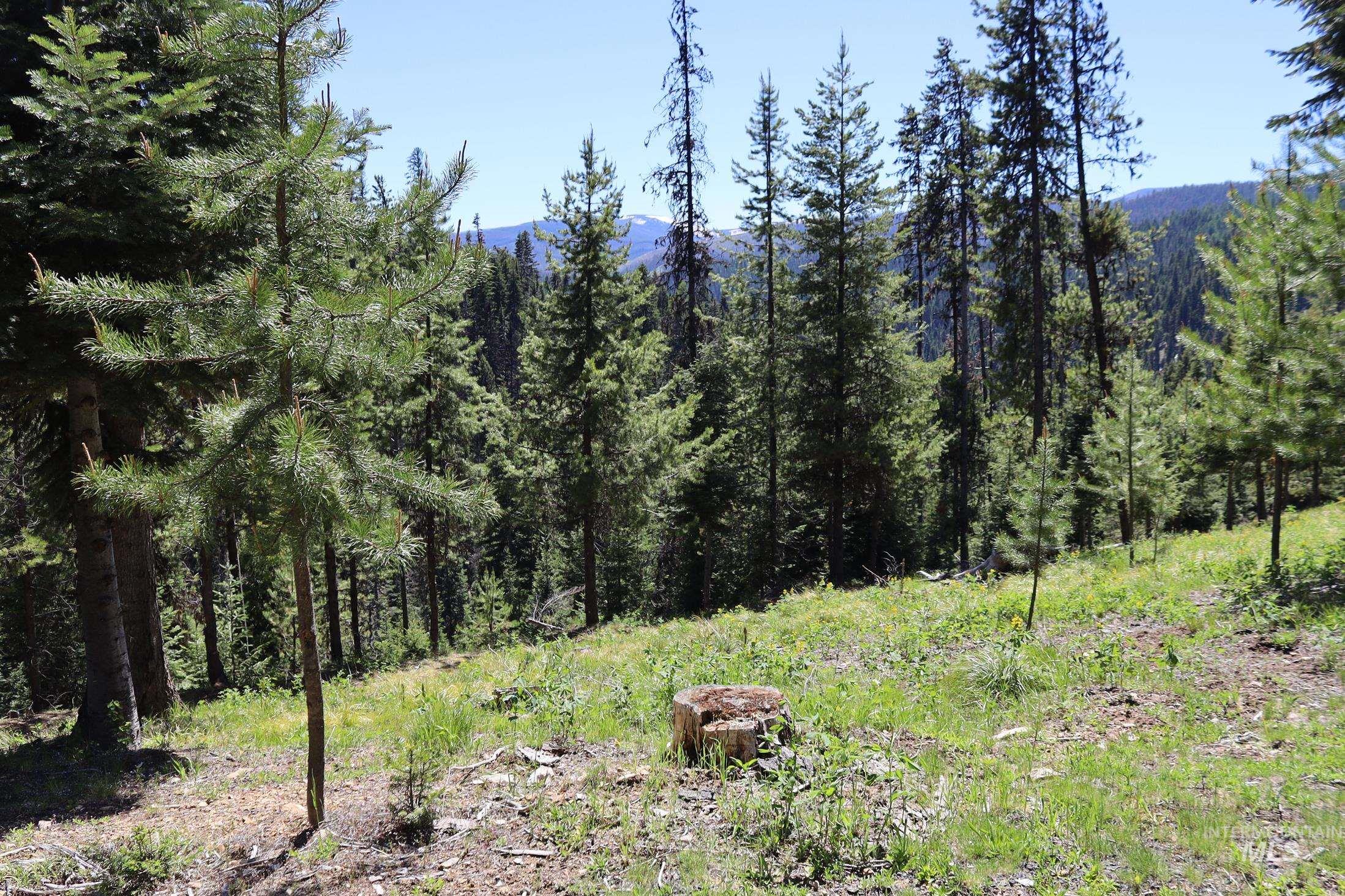 1391 Crooked River Road, Elk City, Idaho 83525, 2 Bedrooms, 2 Bathrooms, Residential For Sale, Price $2,250,000, 98978867