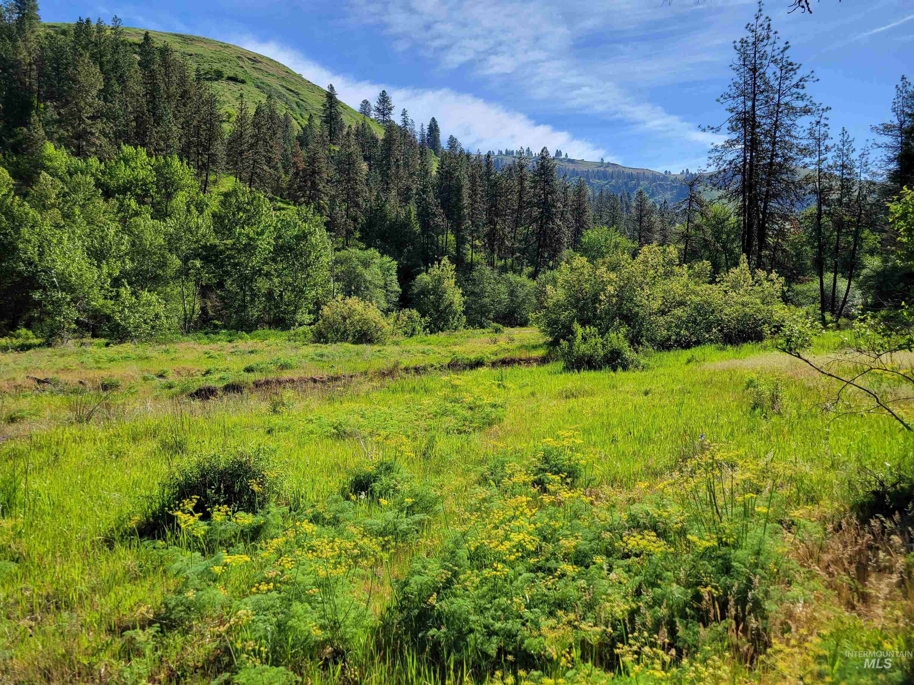 TBD Twisted Tree Lane, Peck, Idaho 83545, Land For Sale, Price $675,000,MLS 98978880