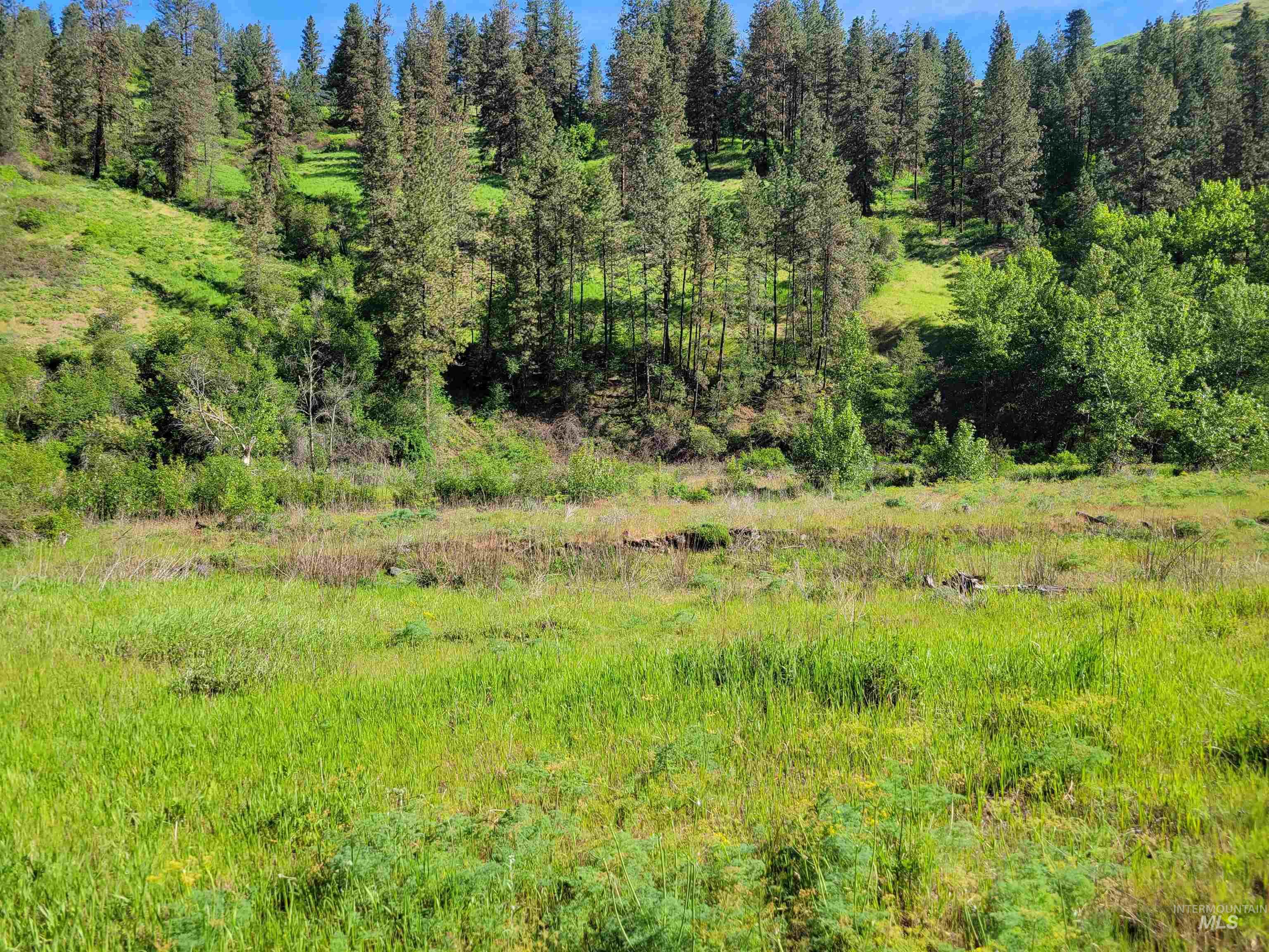 TBD Twisted Tree Lane, Peck, Idaho 83545, Land For Sale, Price $675,000,MLS 98978880