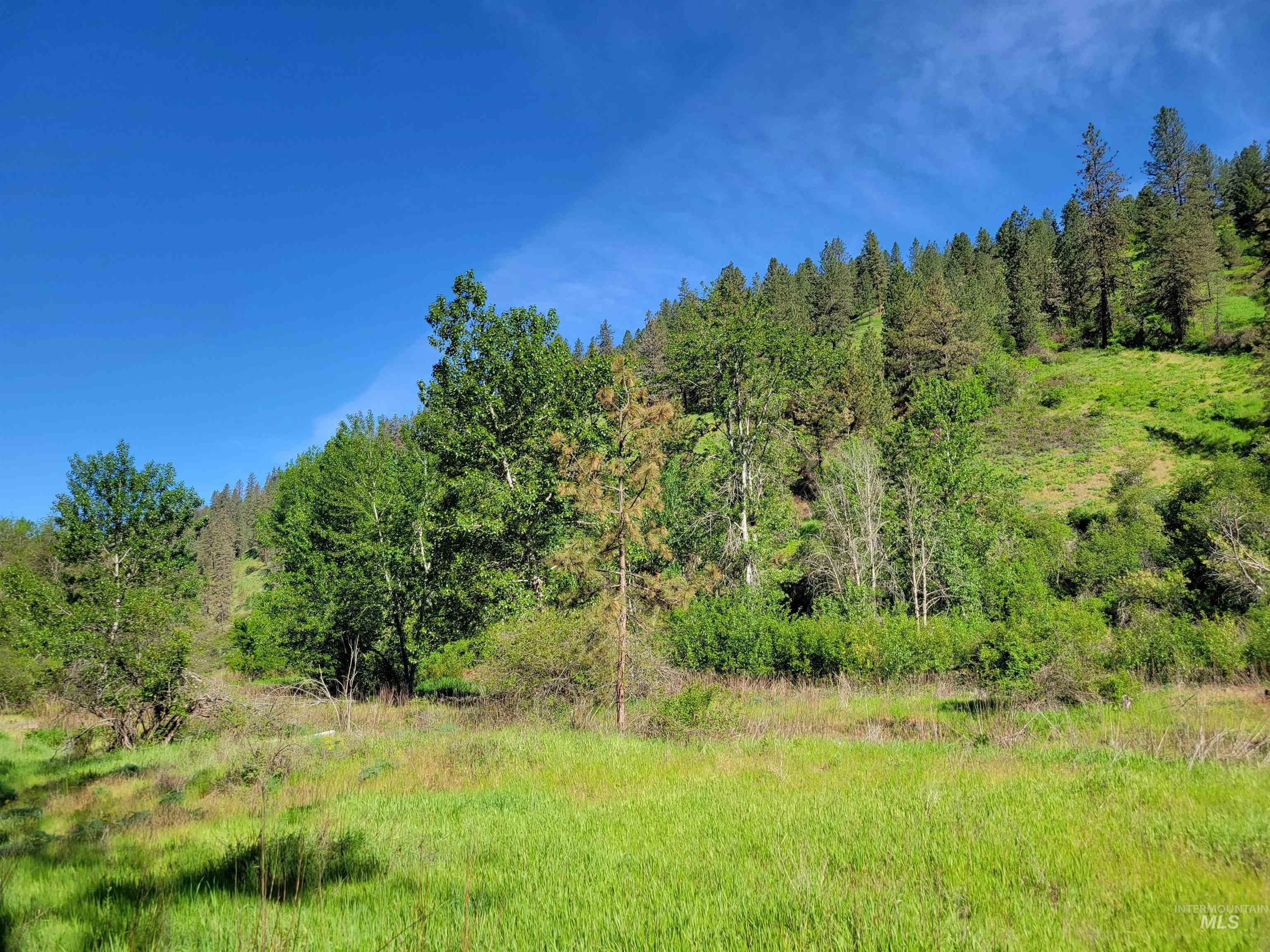 TBD Twisted Tree Lane, Peck, Idaho 83545, Land For Sale, Price $675,000,MLS 98978880