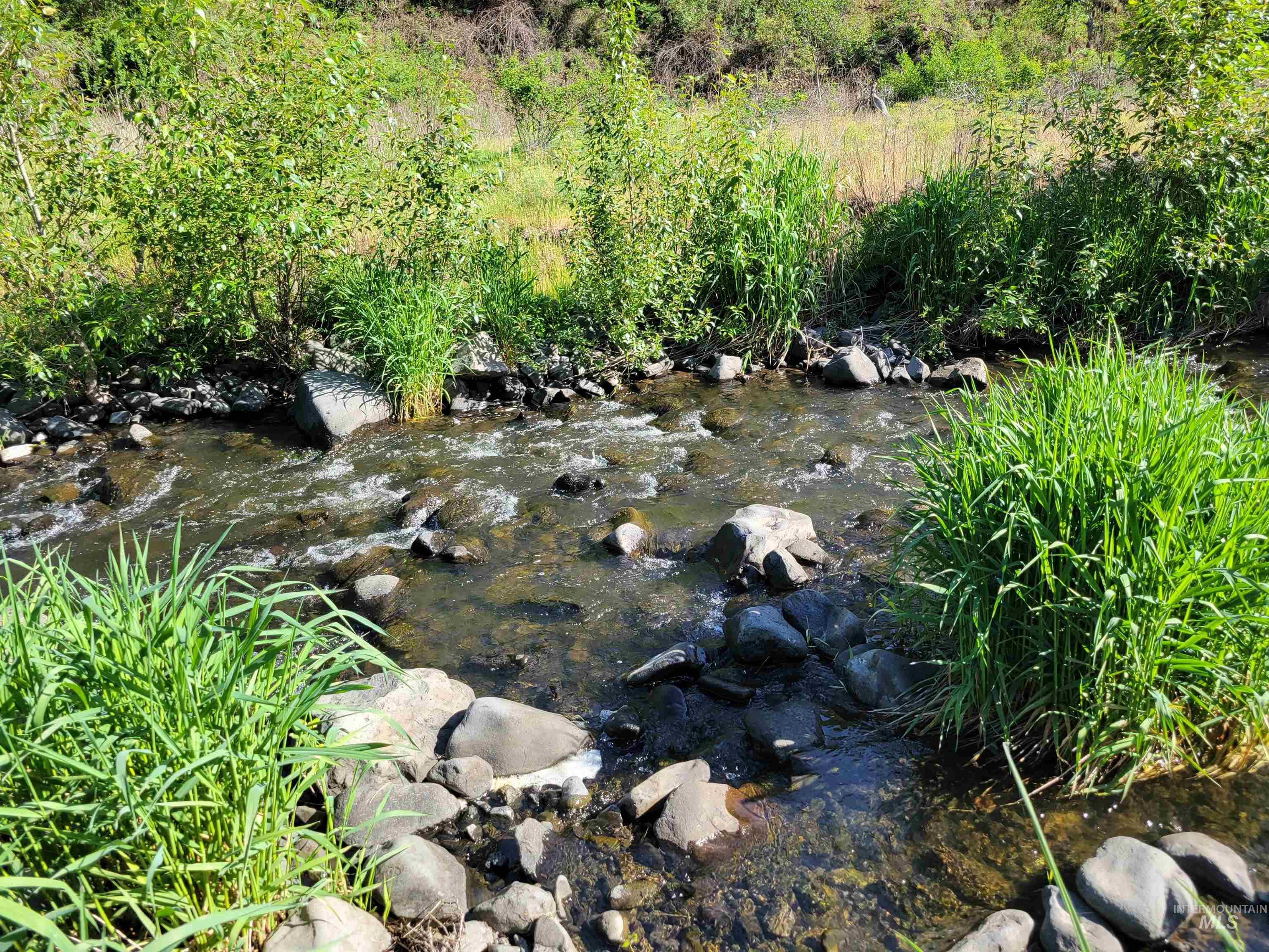 TBD Twisted Tree Lane, Peck, Idaho 83545, Land For Sale, Price $675,000,MLS 98978880