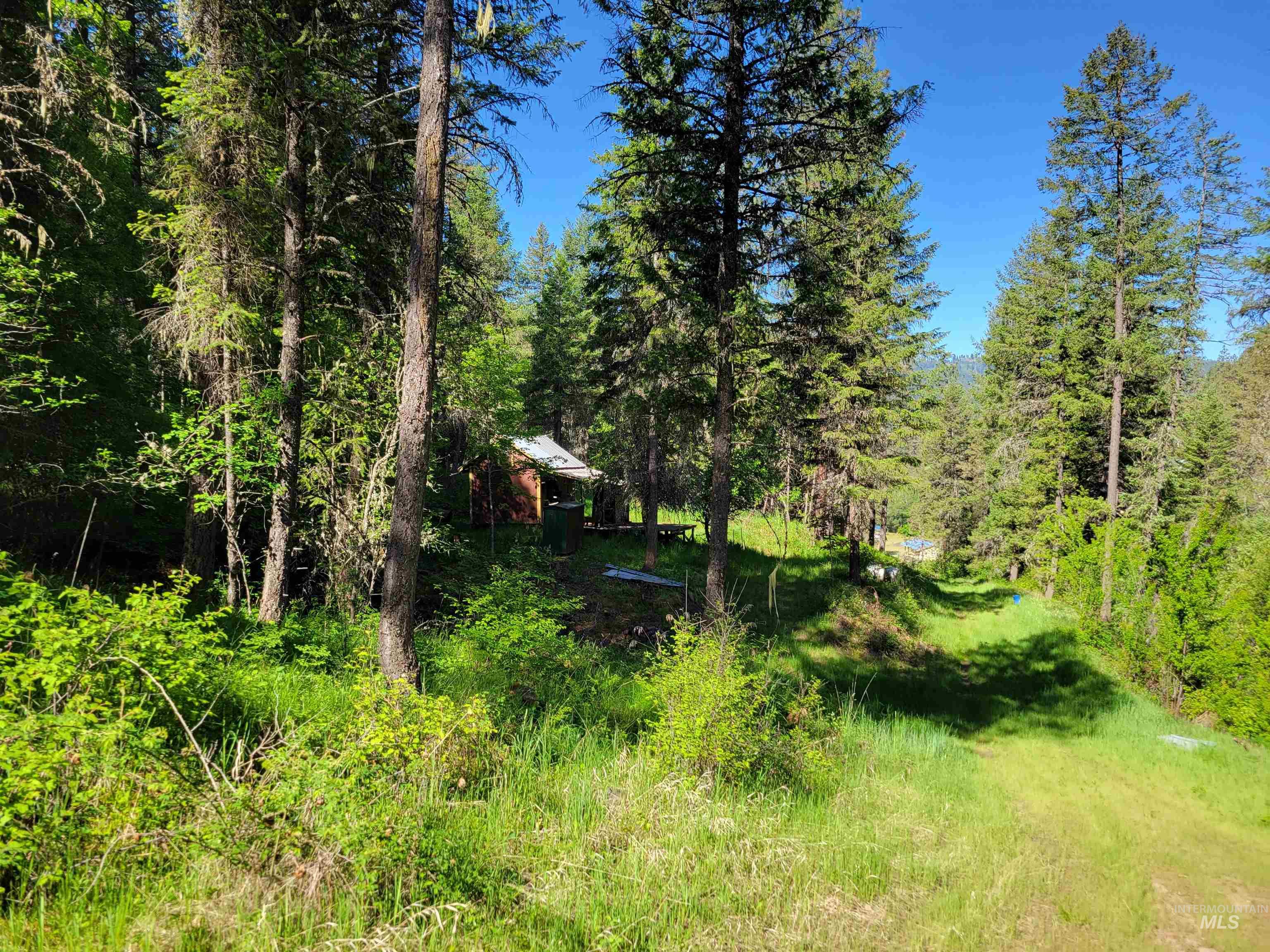 TBD Twisted Tree Lane, Peck, Idaho 83545, Land For Sale, Price $675,000,MLS 98978880