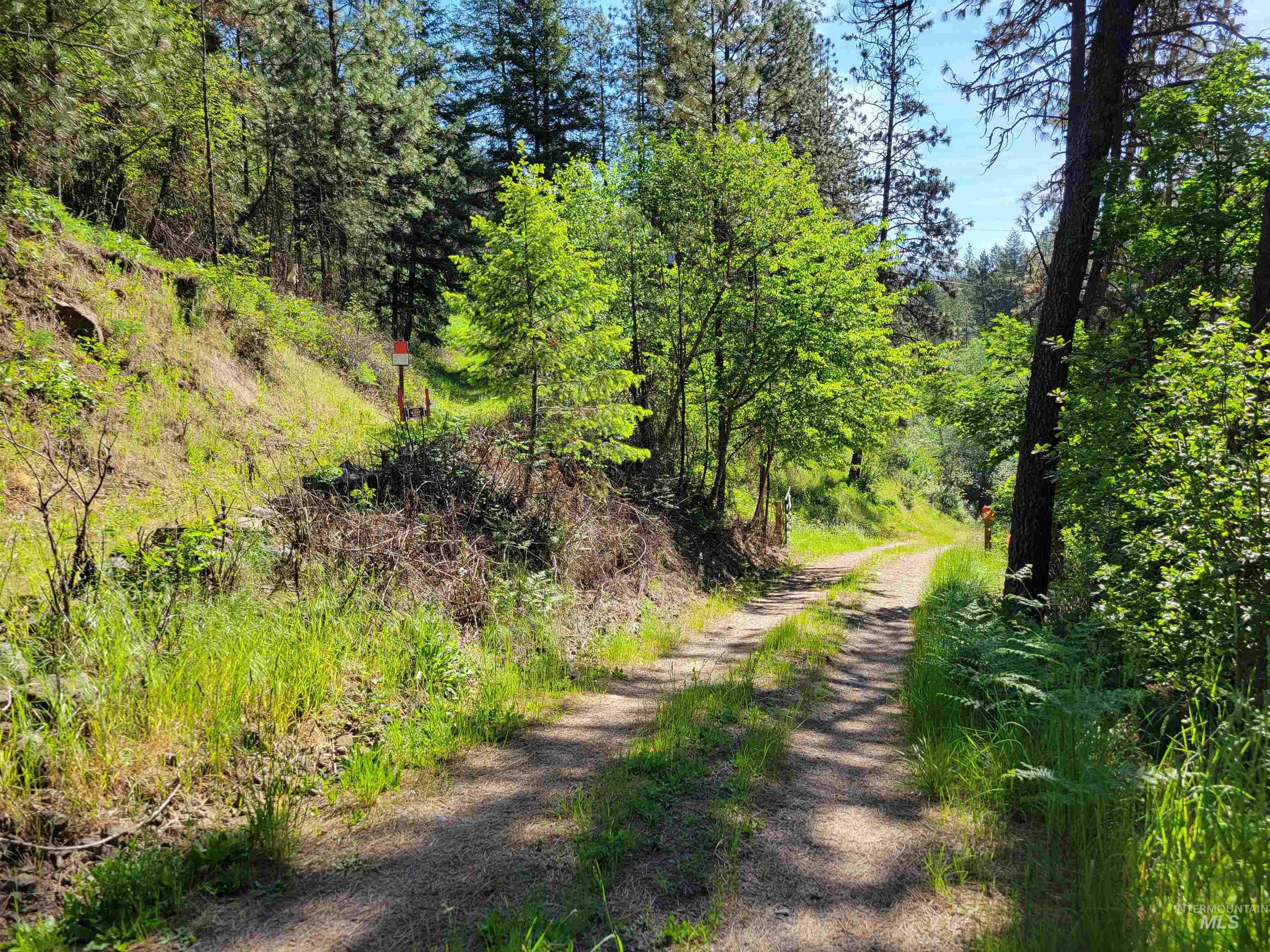 TBD Twisted Tree Lane, Peck, Idaho 83545, Land For Sale, Price $675,000,MLS 98978880