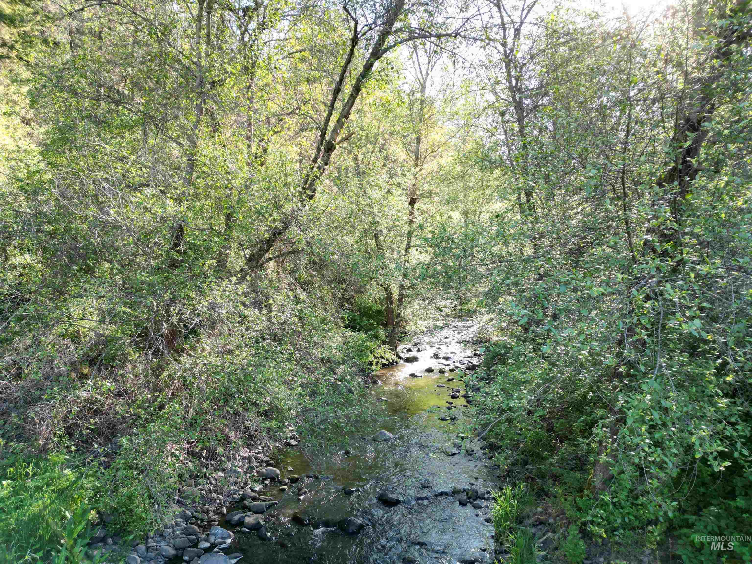 TBD Twisted Tree Lane, Peck, Idaho 83545, Land For Sale, Price $675,000,MLS 98978880