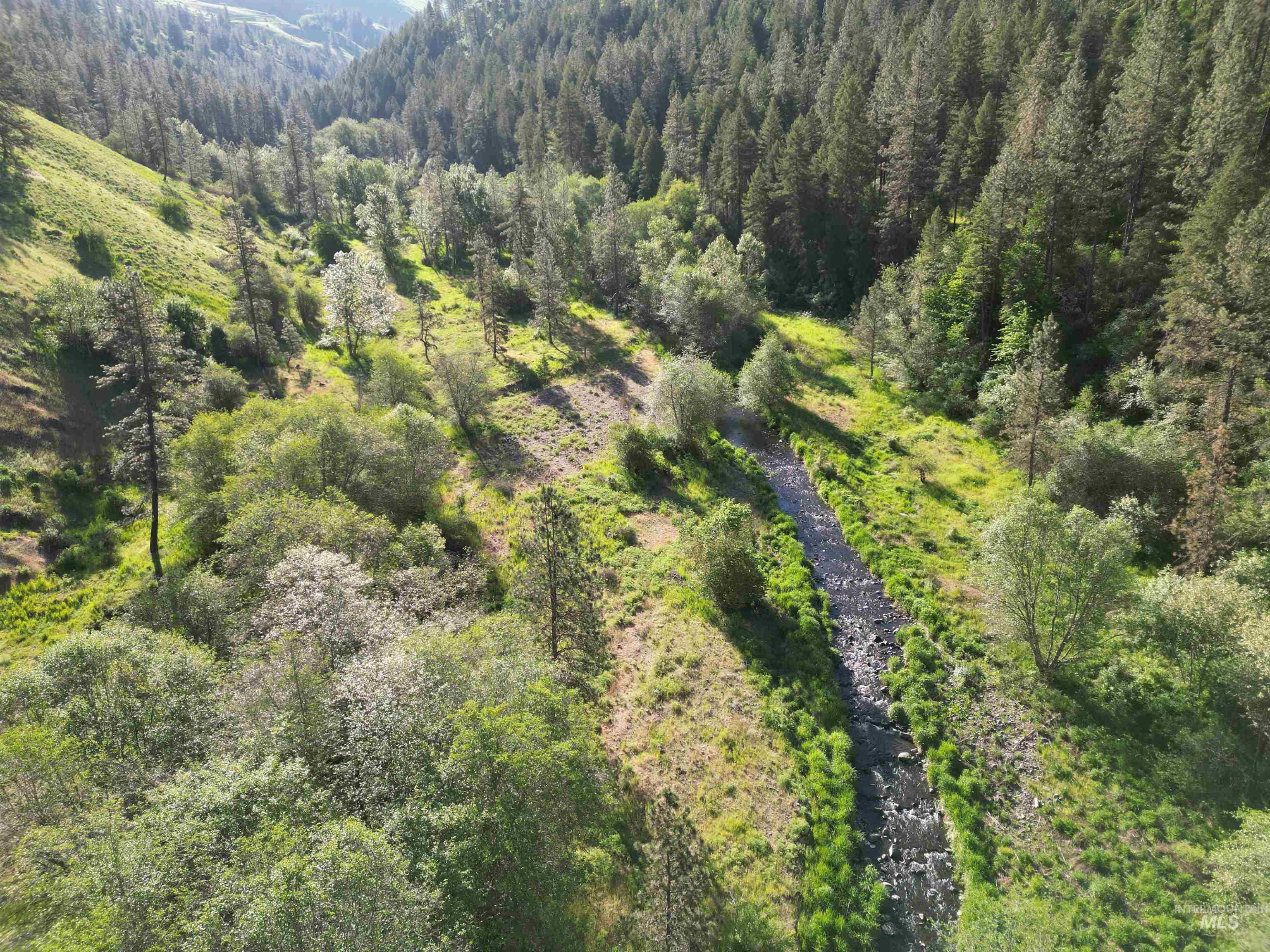 TBD Twisted Tree Lane, Peck, Idaho 83545, Land For Sale, Price $675,000,MLS 98978880