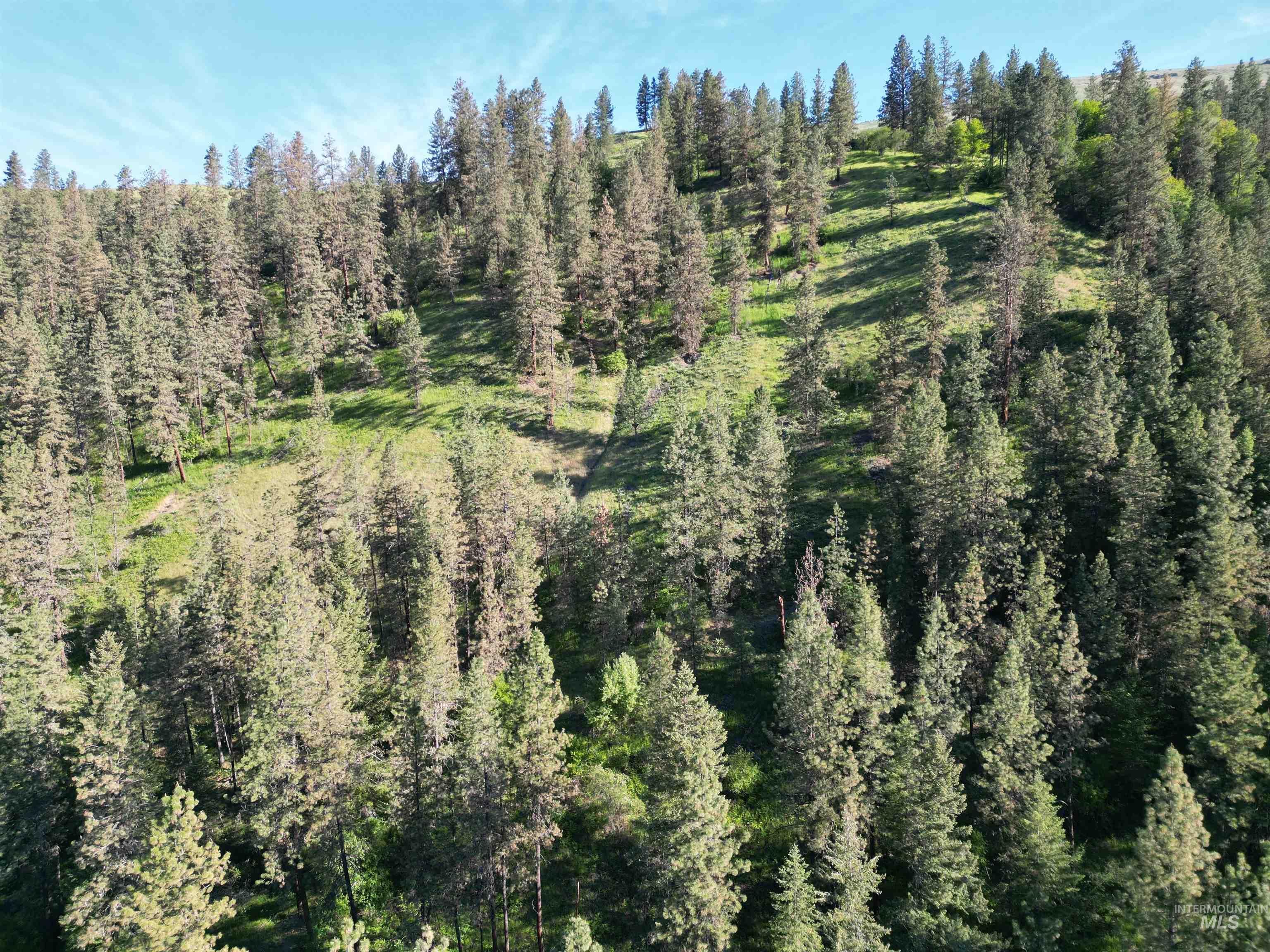 TBD Twisted Tree Lane, Peck, Idaho 83545, Land For Sale, Price $675,000,MLS 98978880