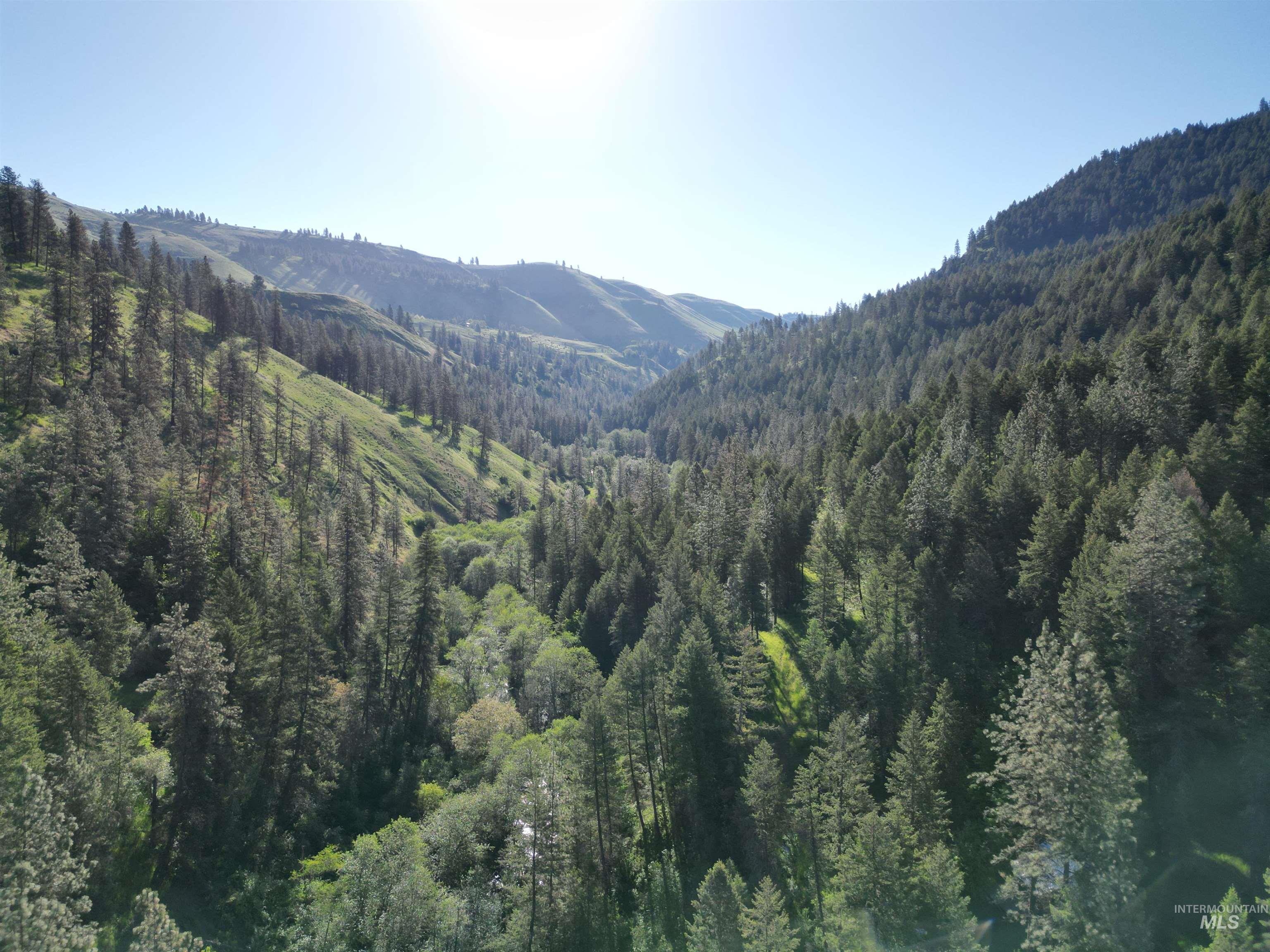 TBD Twisted Tree Lane, Peck, Idaho 83545, Land For Sale, Price $675,000,MLS 98978880