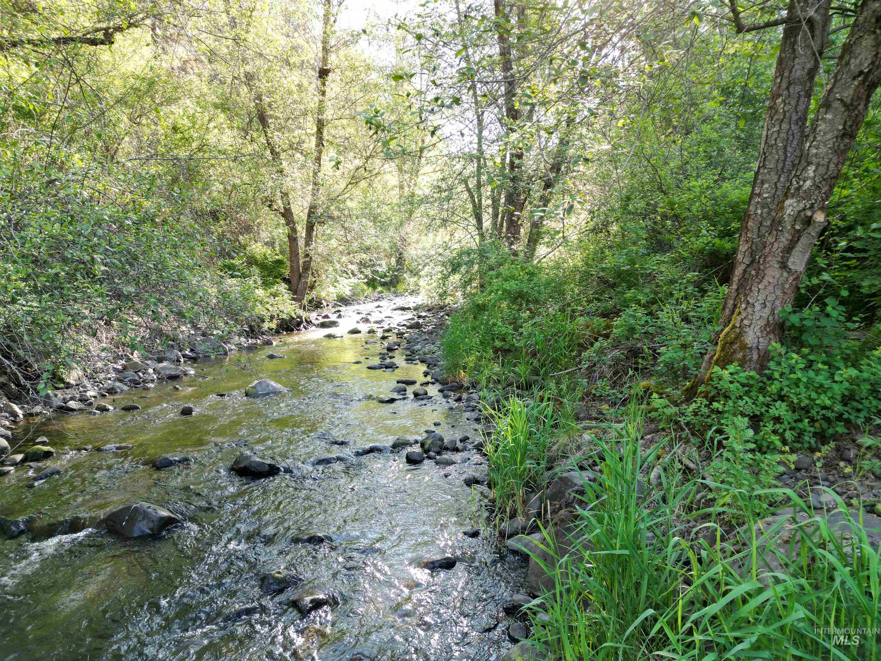 TBD Twisted Tree Lane, Peck, Idaho 83545, Land For Sale, Price $675,000,MLS 98978880