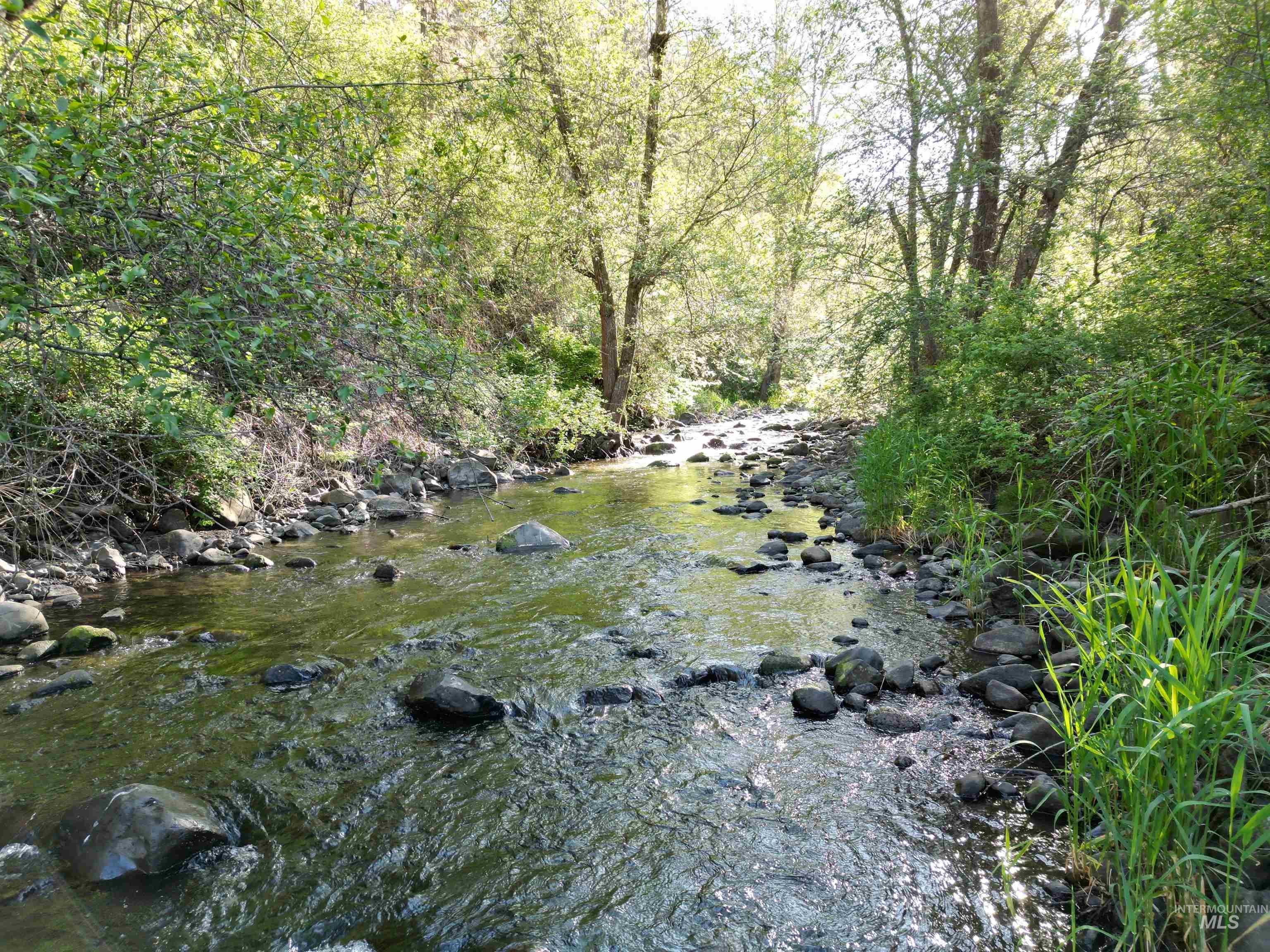 TBD Twisted Tree Lane, Peck, Idaho 83545, Land For Sale, Price $675,000,MLS 98978880