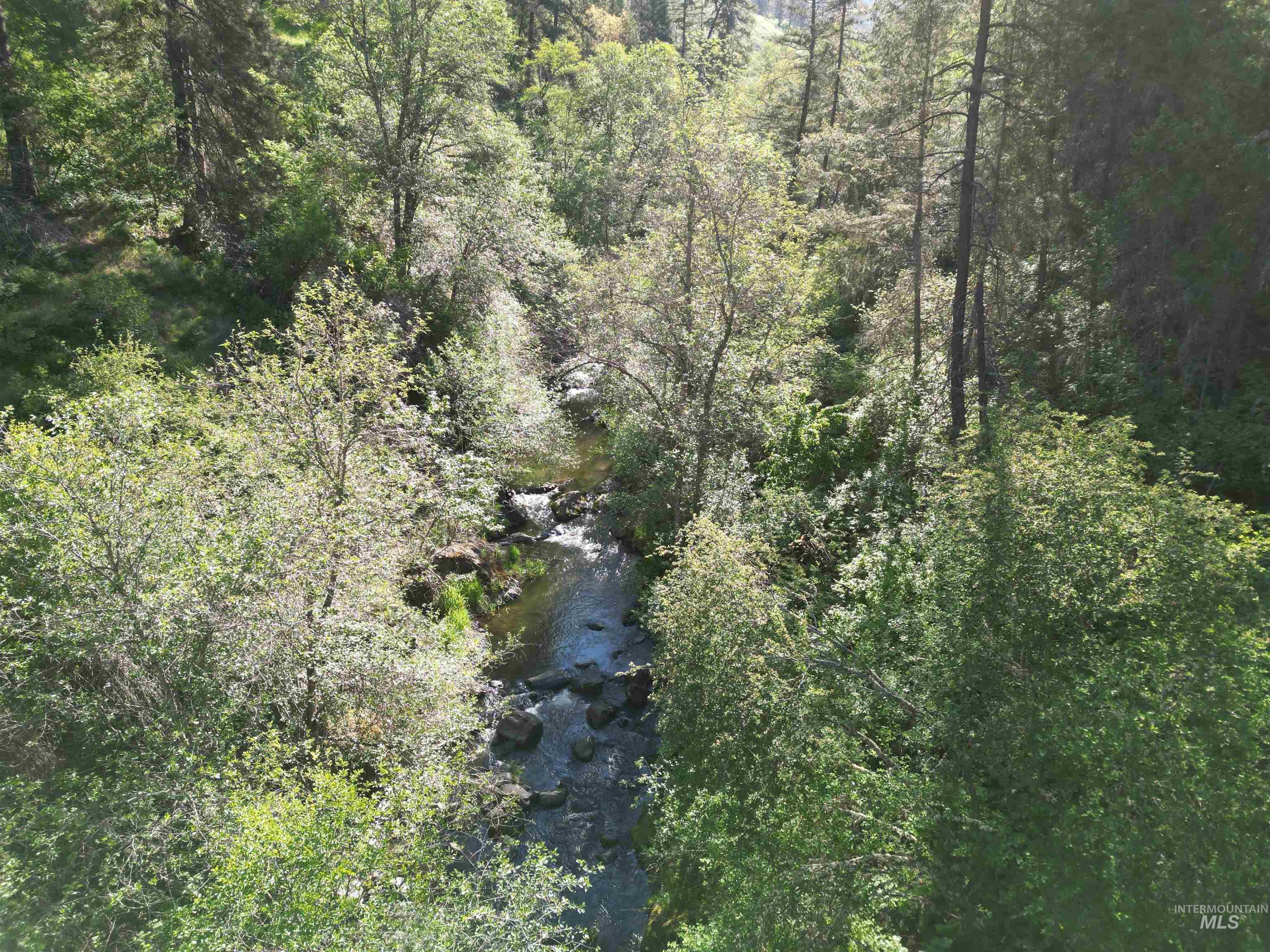 TBD Twisted Tree Lane, Peck, Idaho 83545, Land For Sale, Price $675,000,MLS 98978880