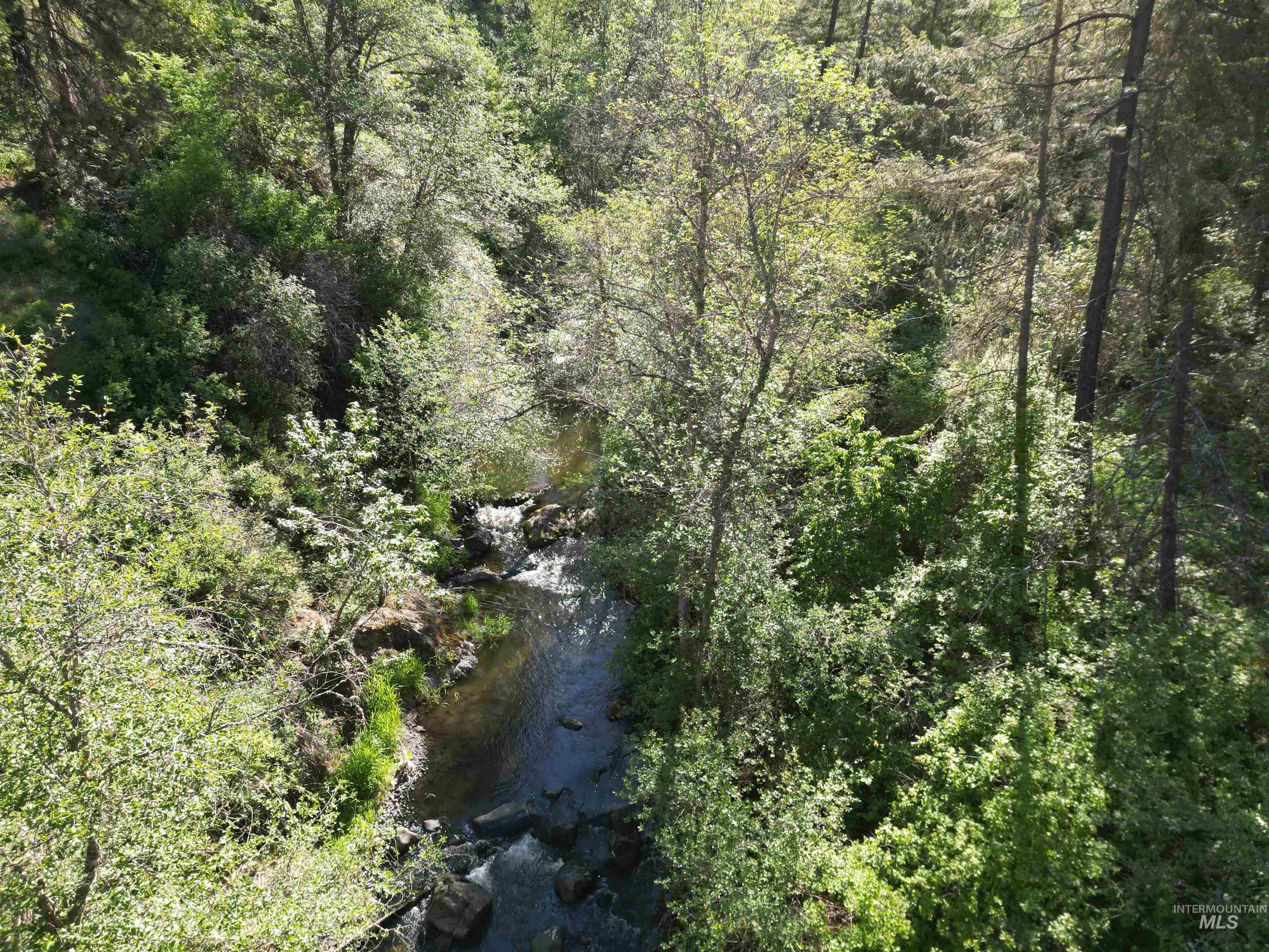 TBD Twisted Tree Lane, Peck, Idaho 83545, Land For Sale, Price $675,000,MLS 98978880