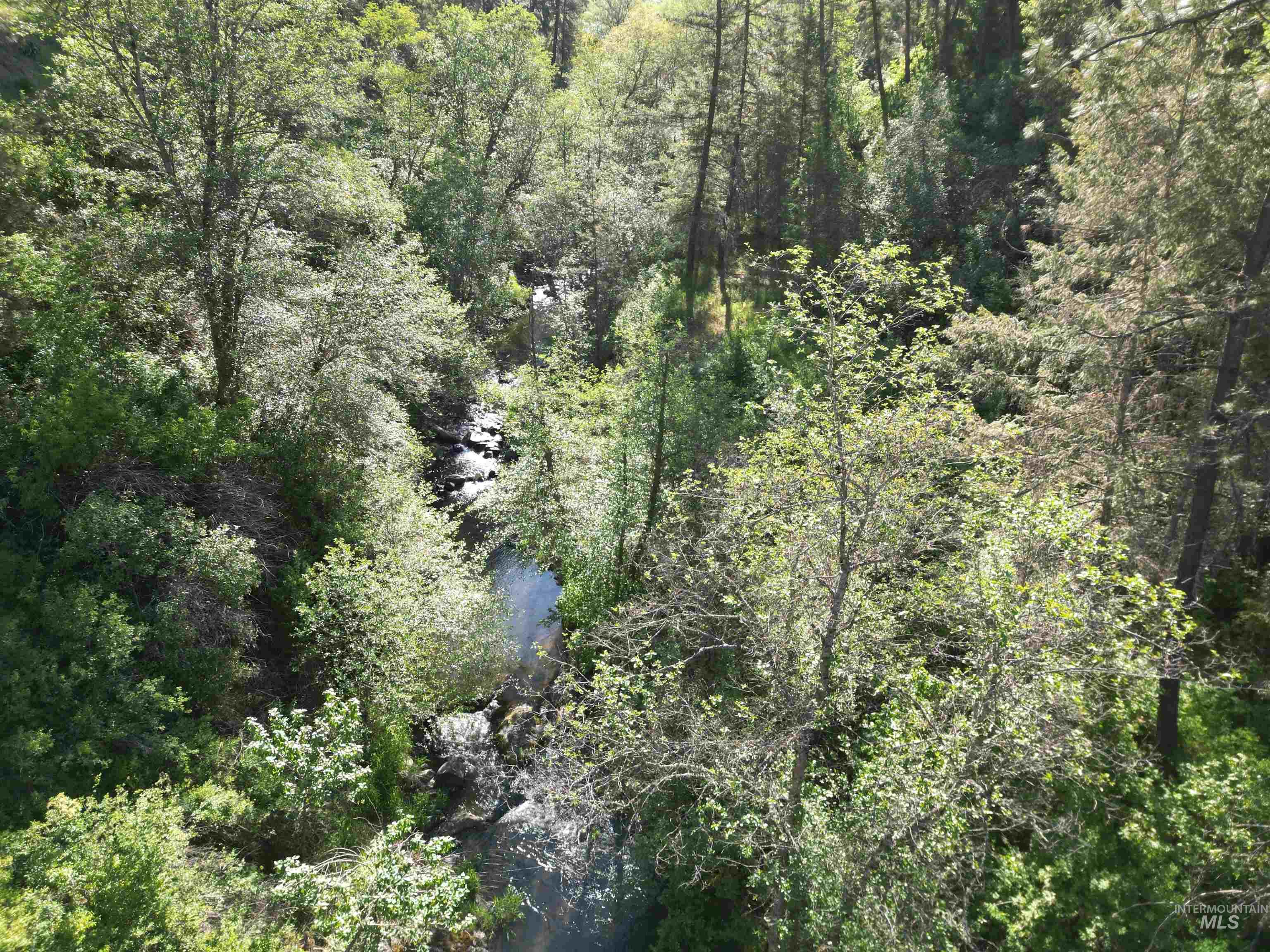 TBD Twisted Tree Lane, Peck, Idaho 83545, Land For Sale, Price $675,000,MLS 98978880