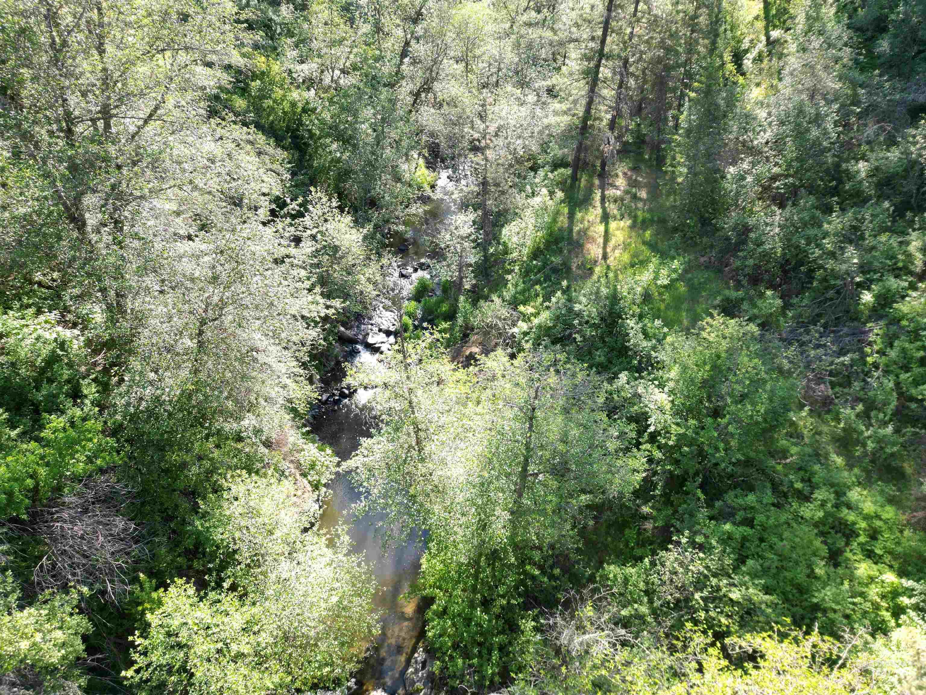 TBD Twisted Tree Lane, Peck, Idaho 83545, Land For Sale, Price $675,000,MLS 98978880