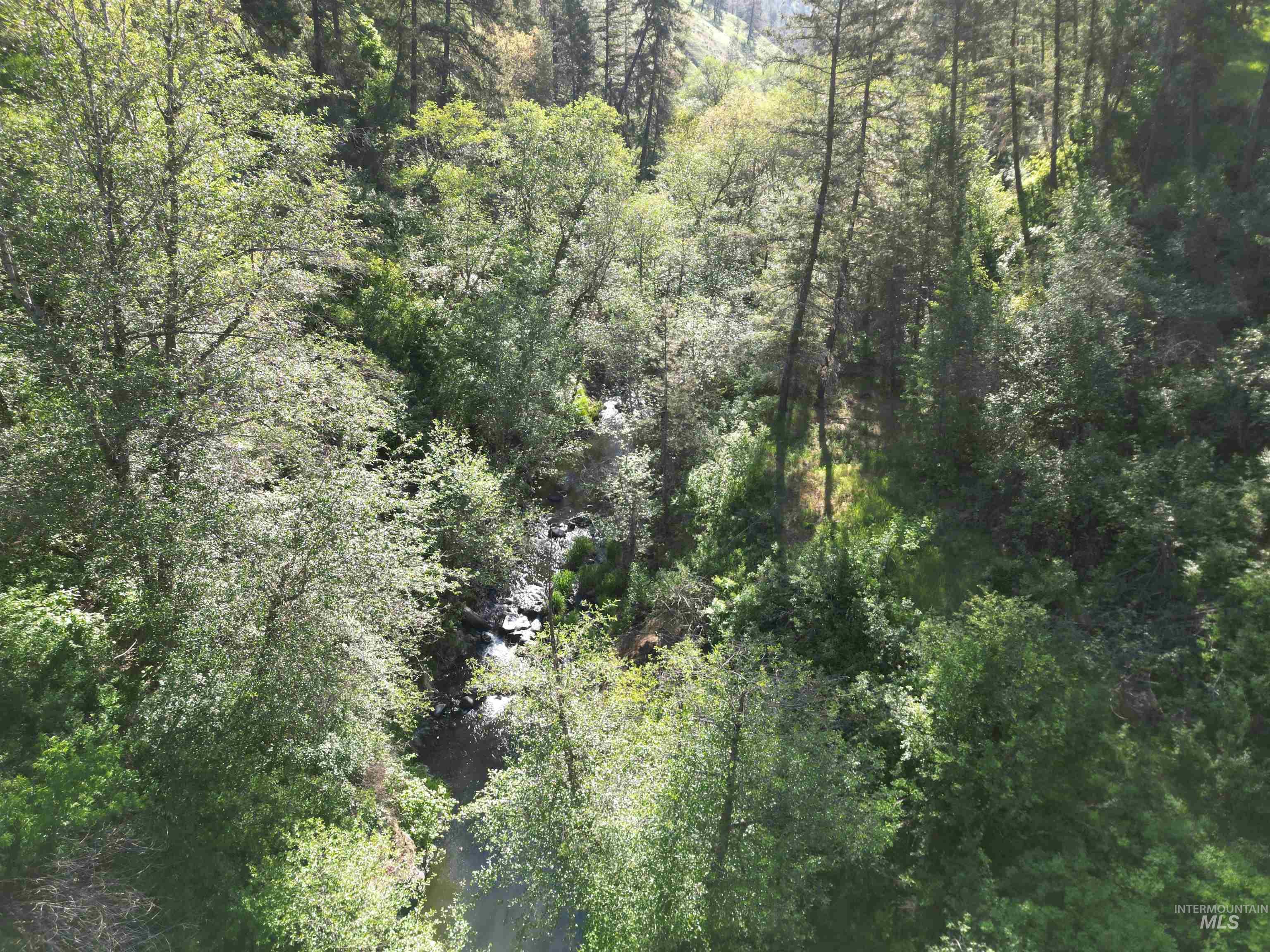 TBD Twisted Tree Lane, Peck, Idaho 83545, Land For Sale, Price $675,000,MLS 98978880